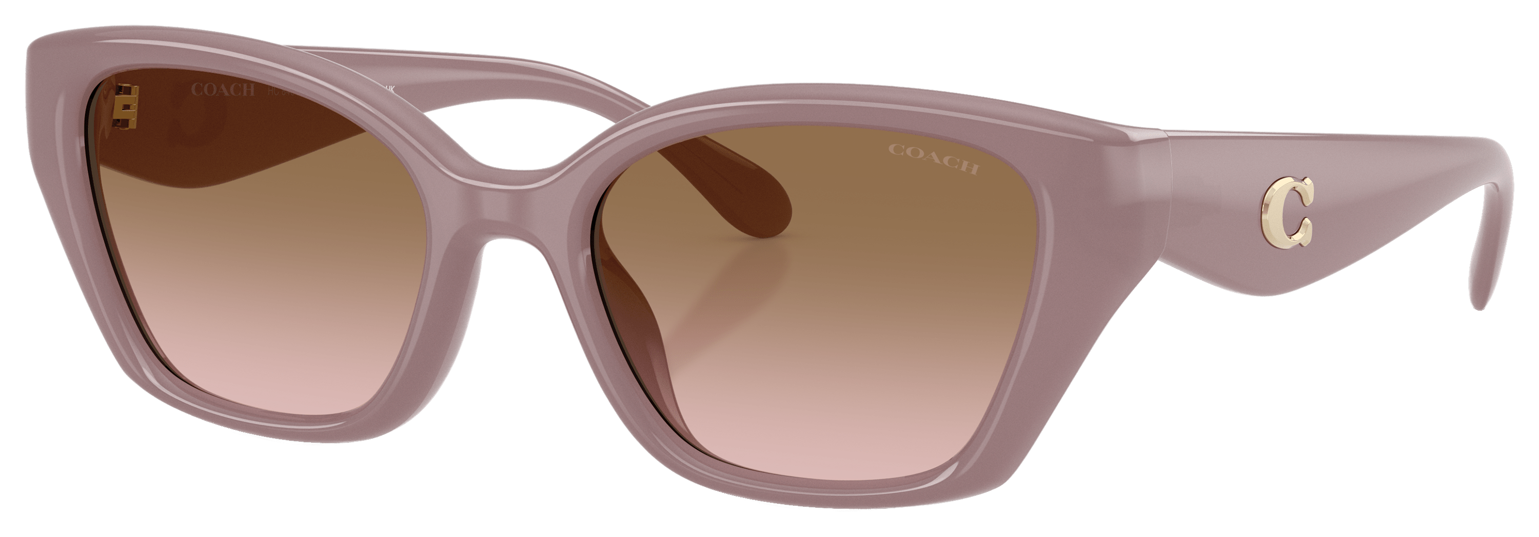 COACH HC8434U Sunglasses for Ladies
