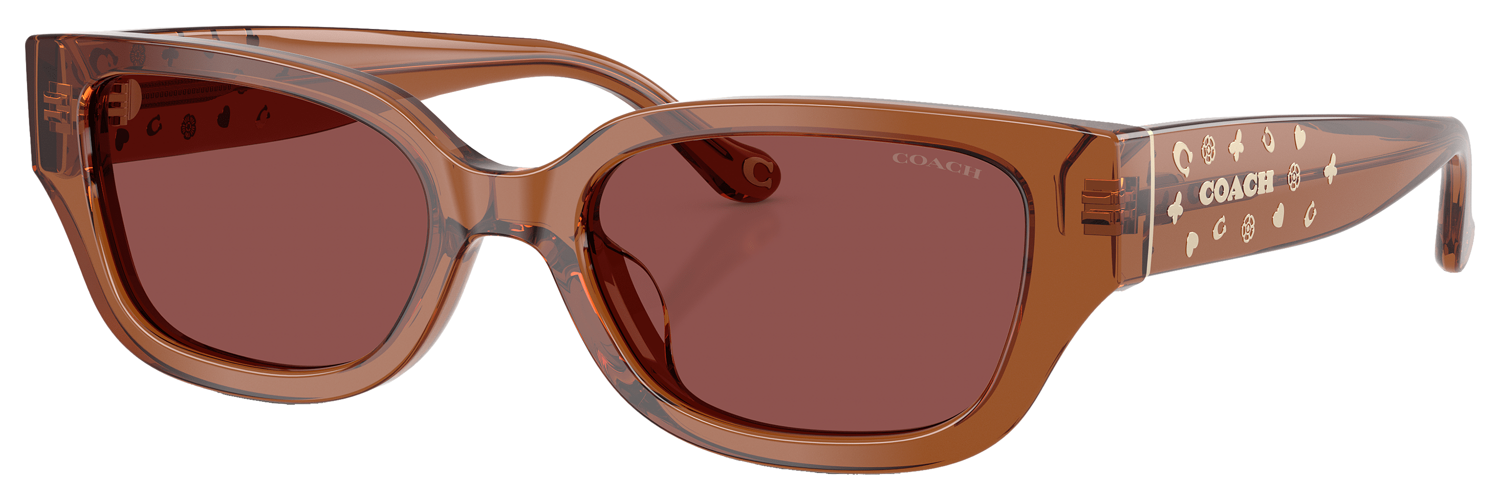 Image of COACH HC8439U Sunglasses for Ladies - Transparent Brown/Wine - Medium