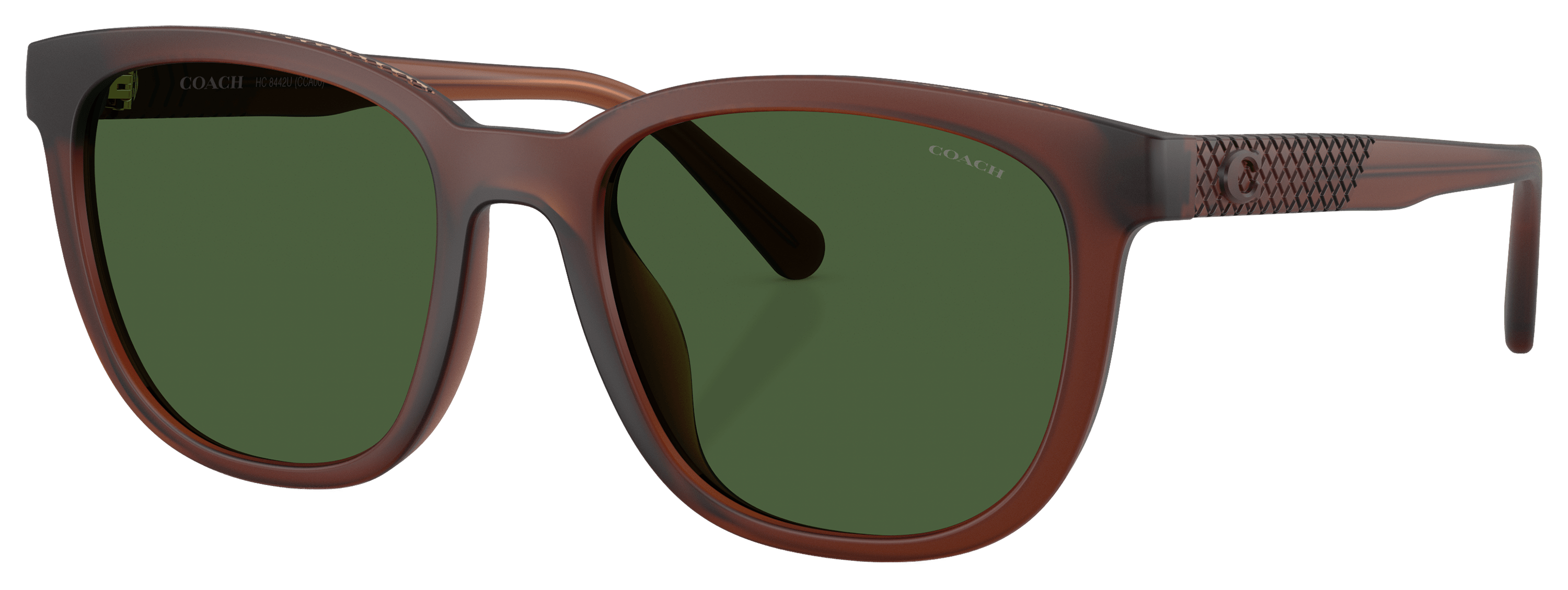 Image of COACH HC8442U Sunglasses for Ladies - Matte Transparent Brown/Green - Large