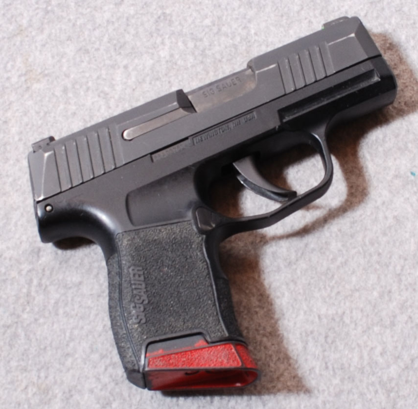 SIG-Sauer ~ P365 ~ 9MM - Bass Pro Shops
