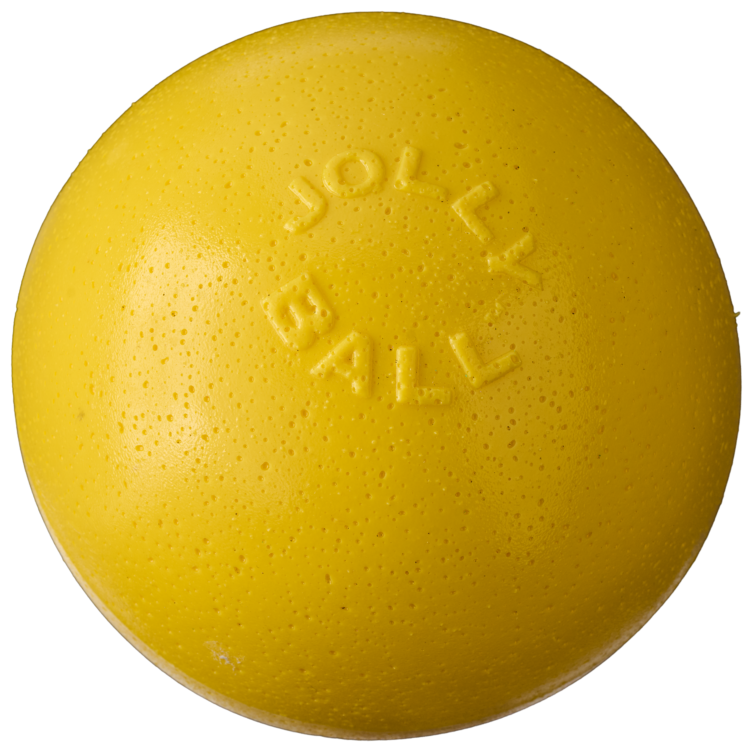 Image of Jolly Pets Bounce N Play Dog Toy