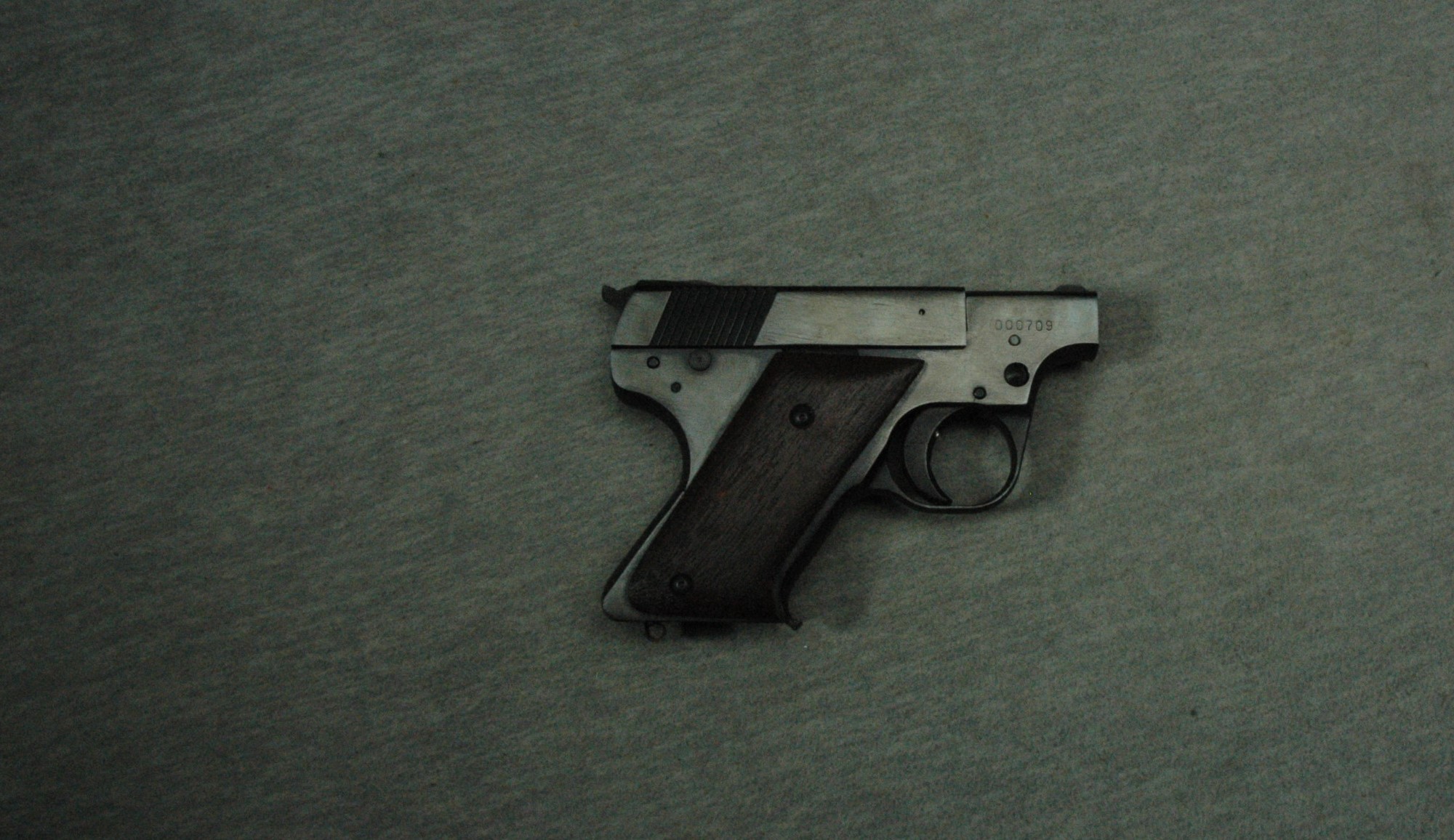 Sterling Arms ~ PPL ~ .22 Long Rifle - Bass Pro Shops