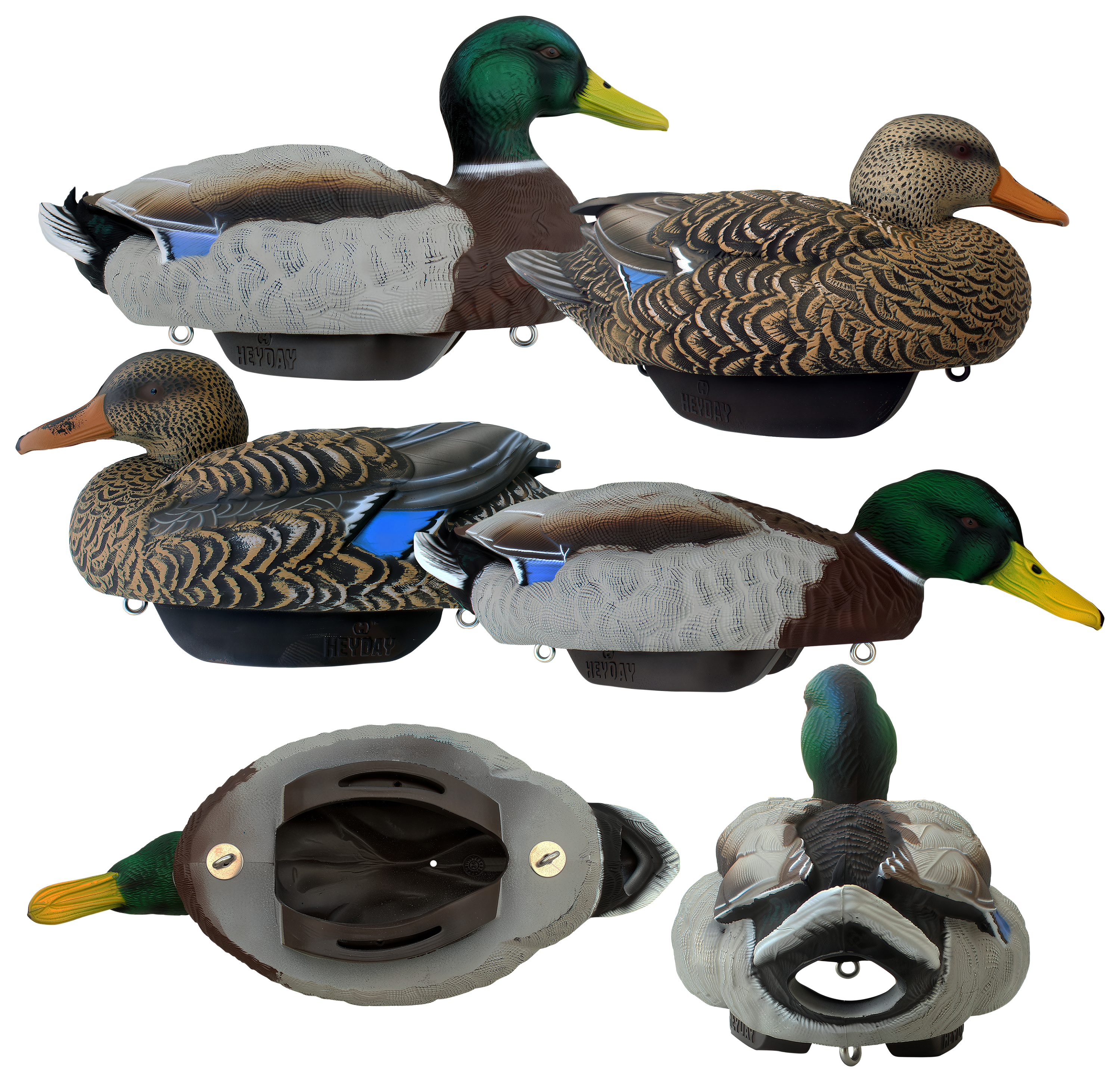 Image of HEYDAY HydroFoam Mallard Position Pack 2 Duck Decoys 6-Pack