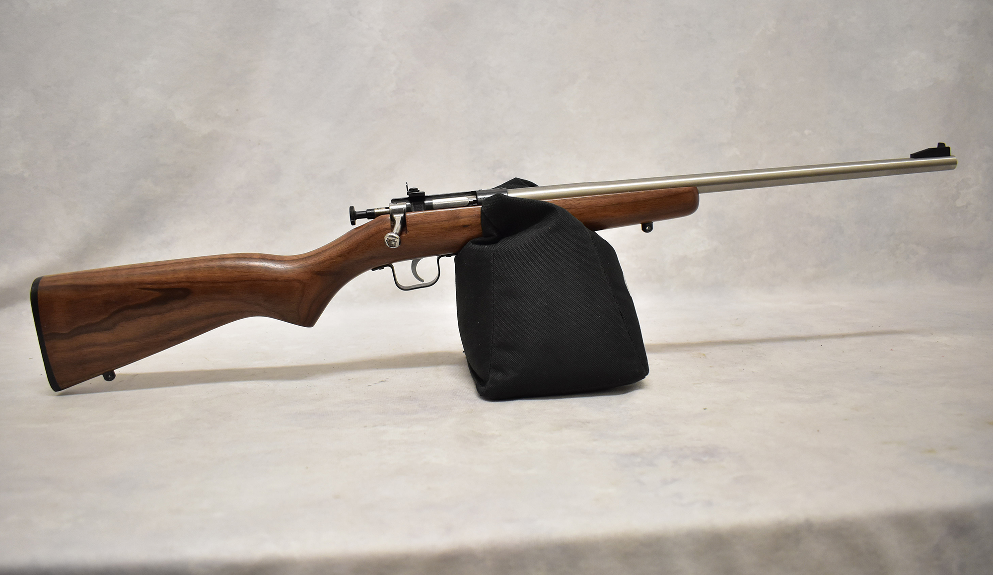 Crickett ~ Crickett ~ .22 Short, Long Long Rifle ~ 16.0" Barrel - Bass Pro Shops