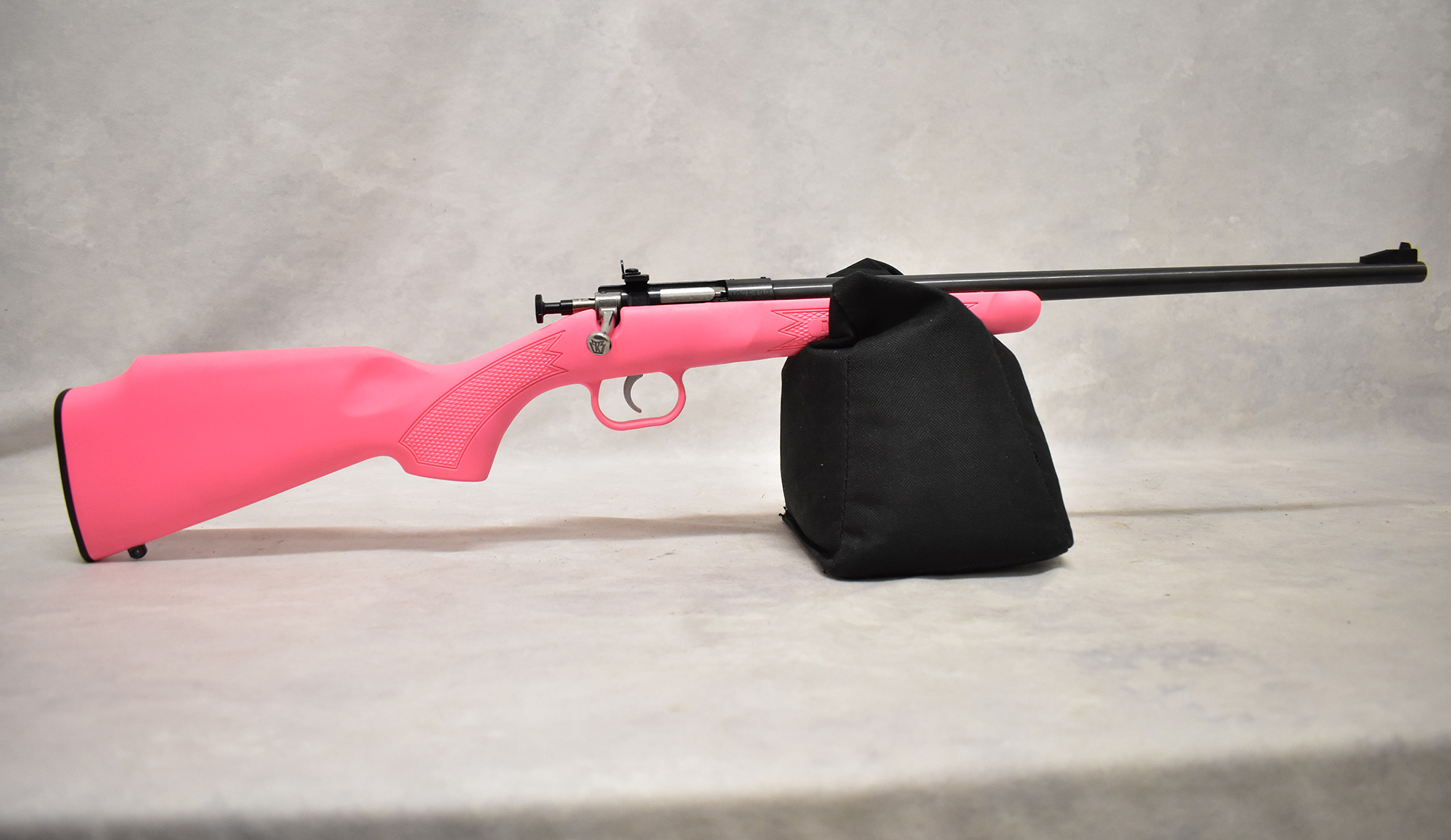 Crickett ~ Crickett ~ .22 Short, Long, Long Rifle ~ 16.0" Barrel - Bass Pro Shops