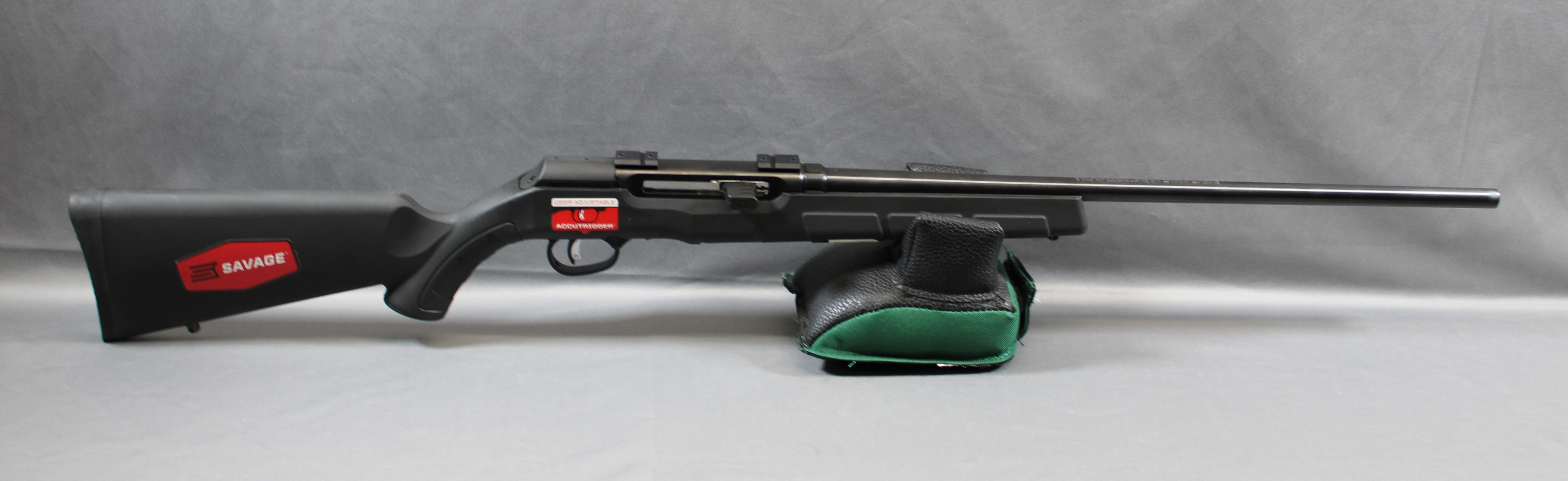 Savage ~ A22 ~ .22 Winchester Magnum Rimfire (WMR) - Bass Pro Shops