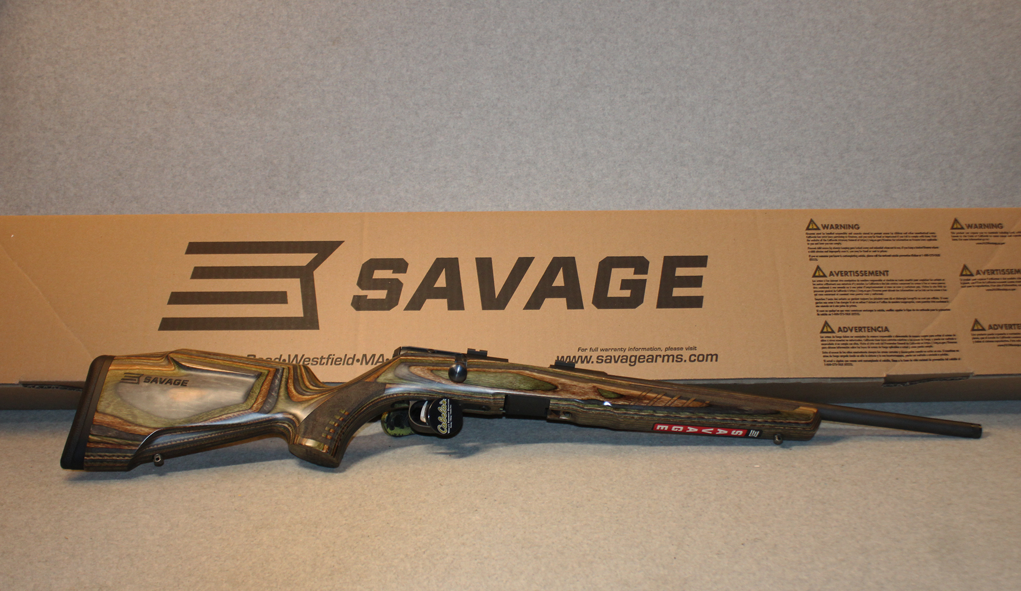 Savage ~ B22 ~ .22 Long Rifle - Bass Pro Shops