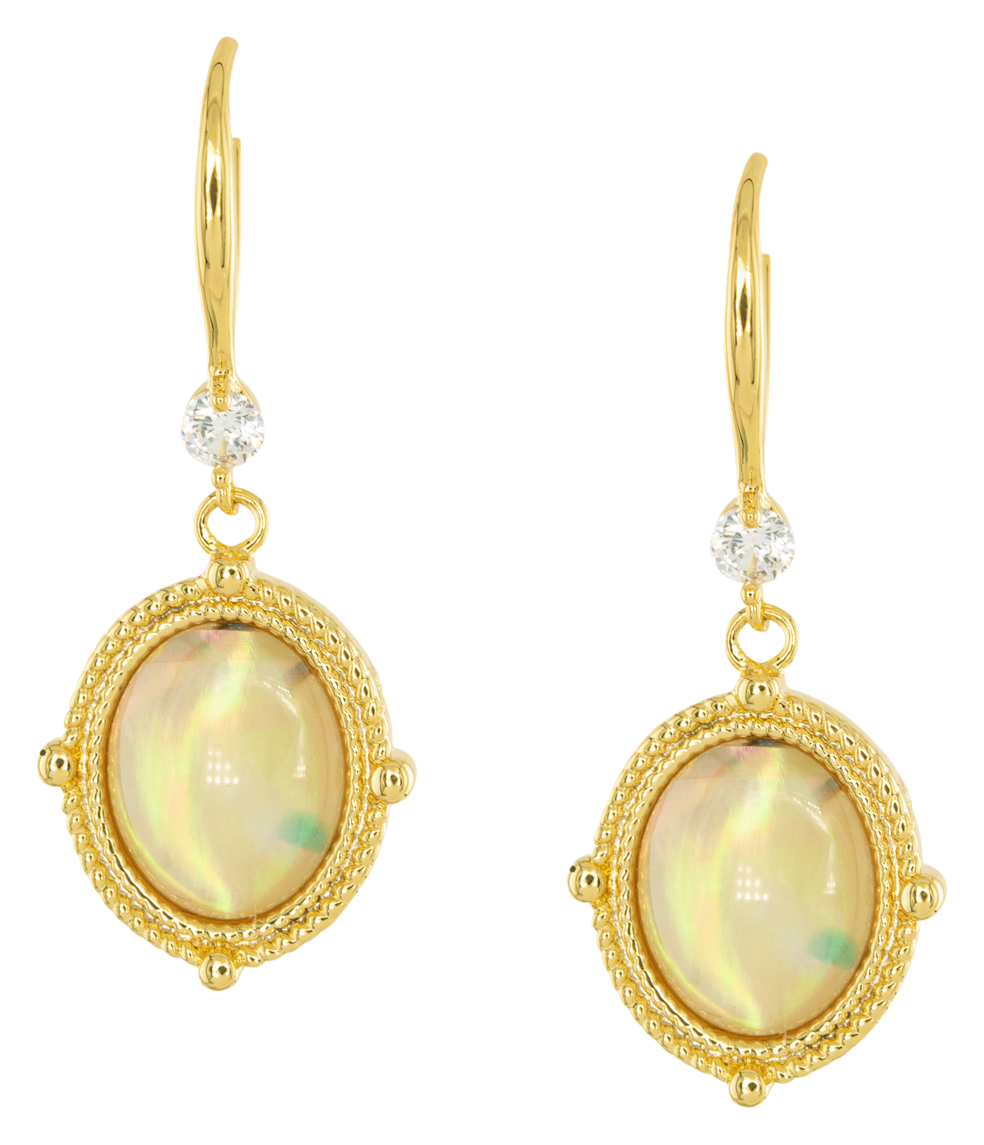 Image of Amanda Blu Gold Abalone Tan Compass Drop Earrings