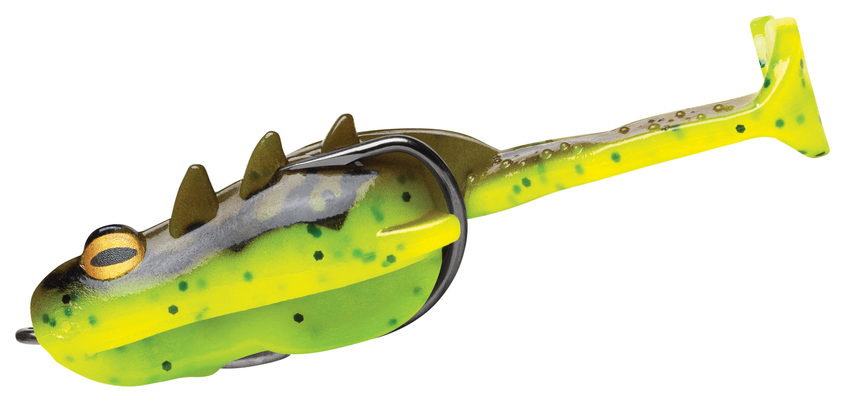Image of Storm Surge Frog - Leopard Frog