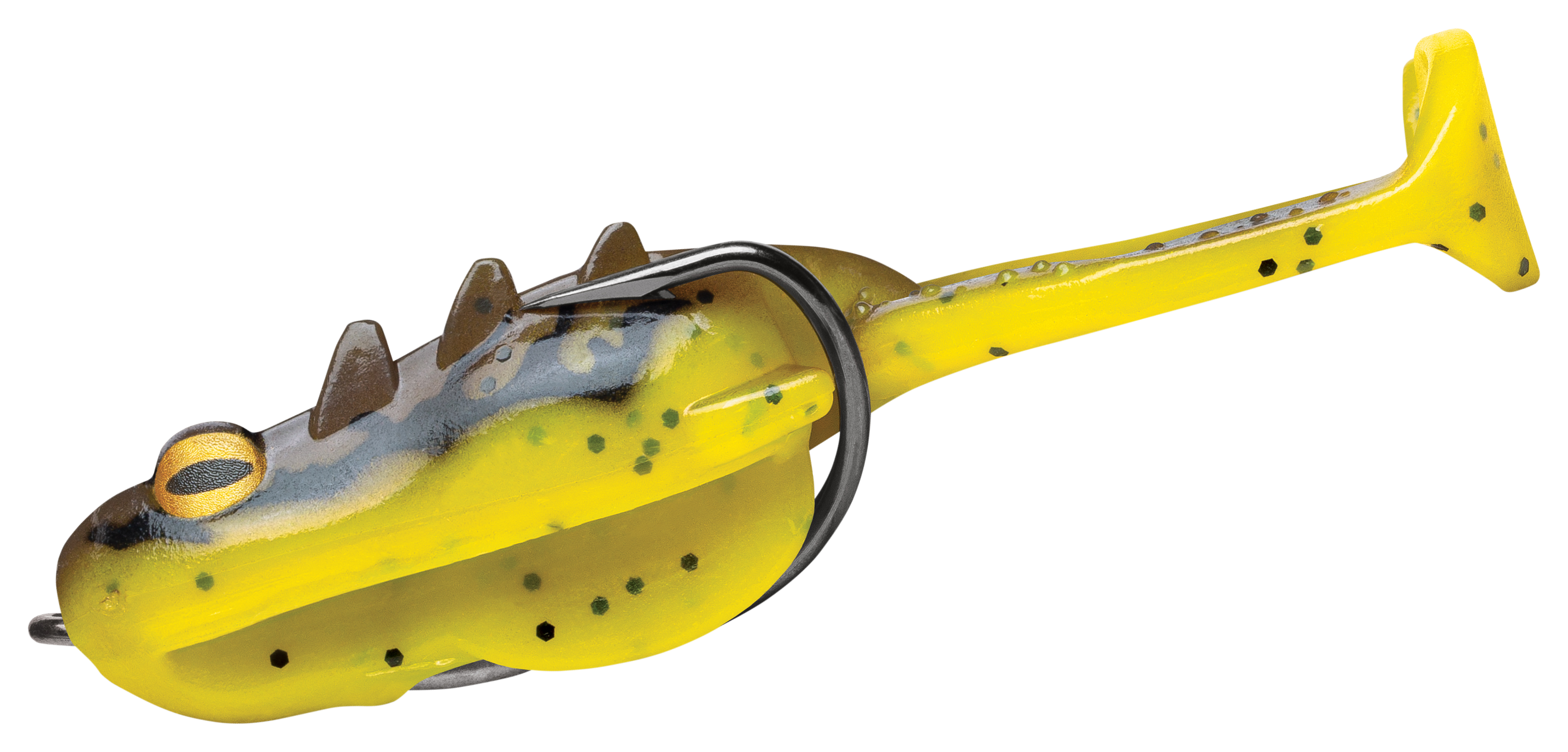 Image of Storm Surge Frog - Sunny