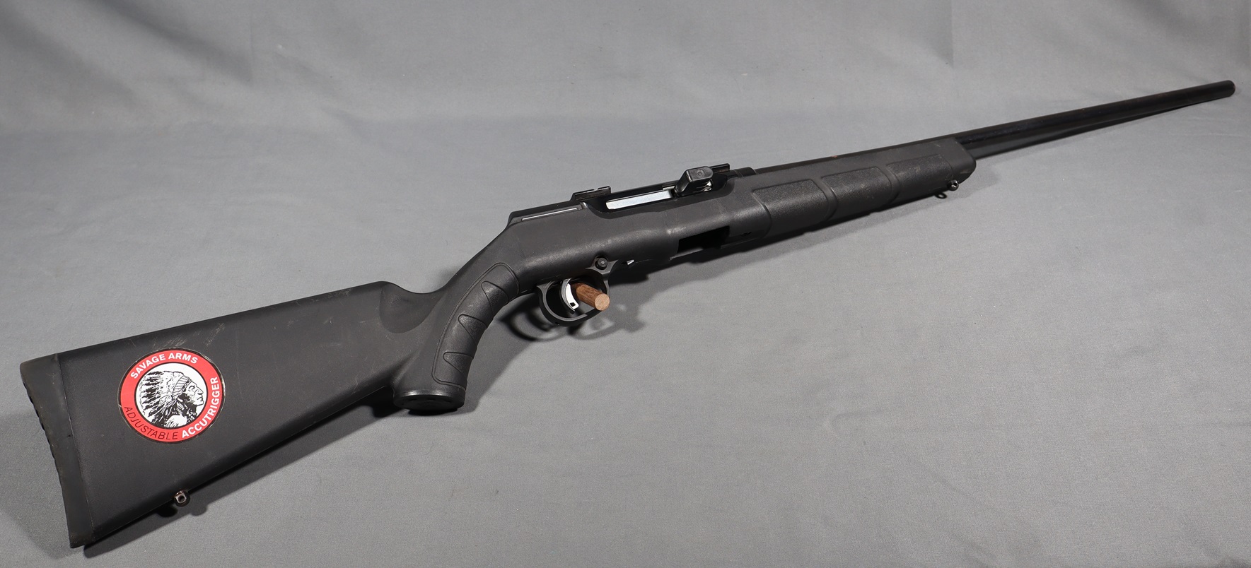 Savage~A17~.17 HMR - Bass Pro Shops