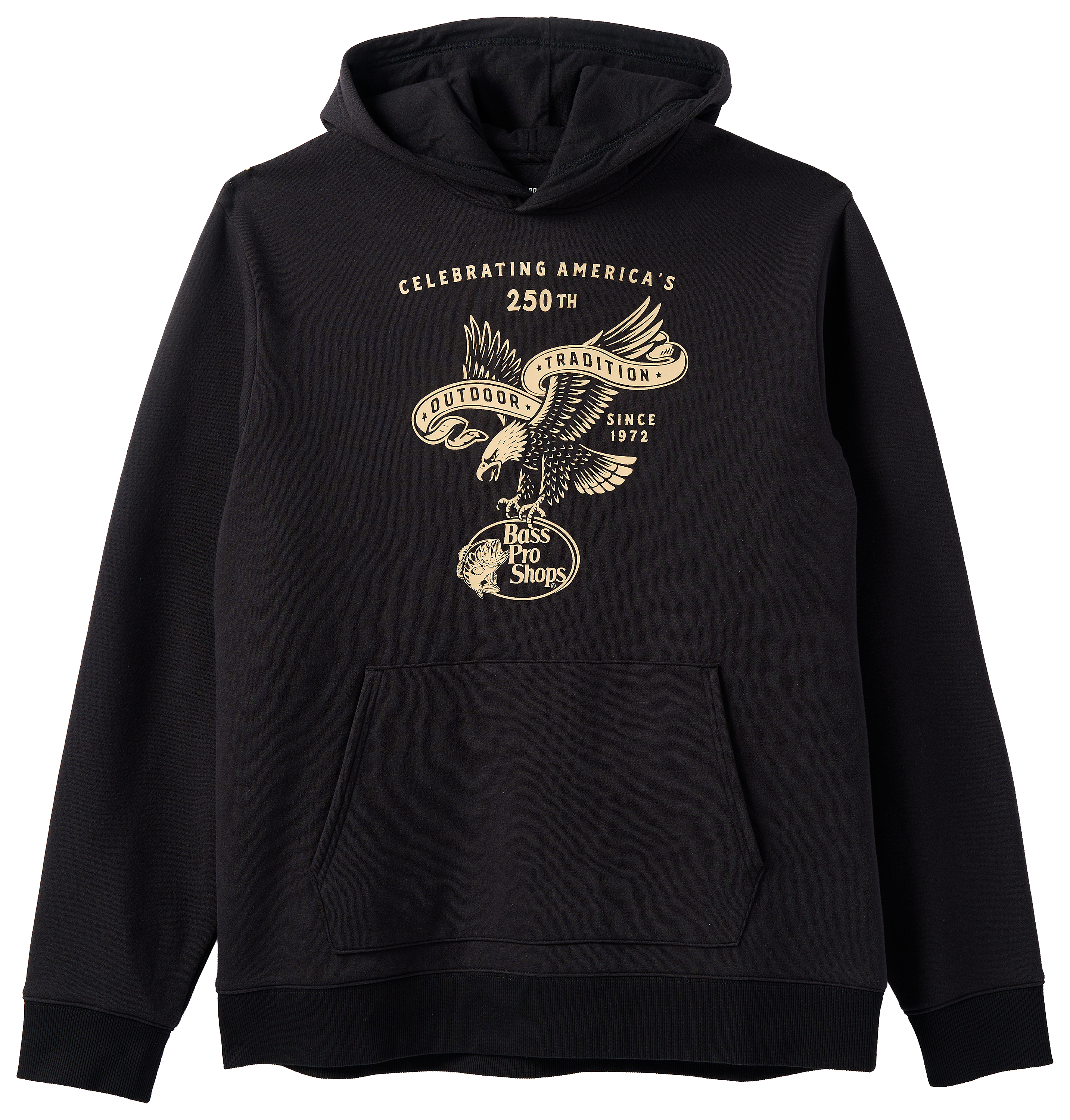 Image of Land of the Free Celebrating America Hoodie
