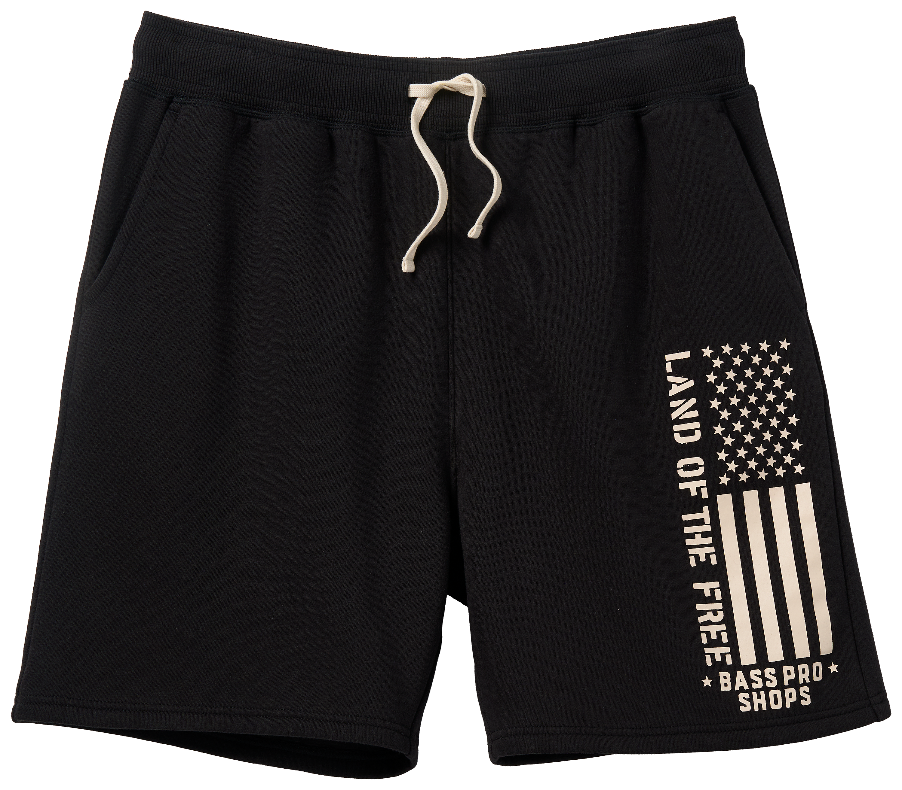 Image of Land of the Free Vertical Flag Fleece Shorts - Black