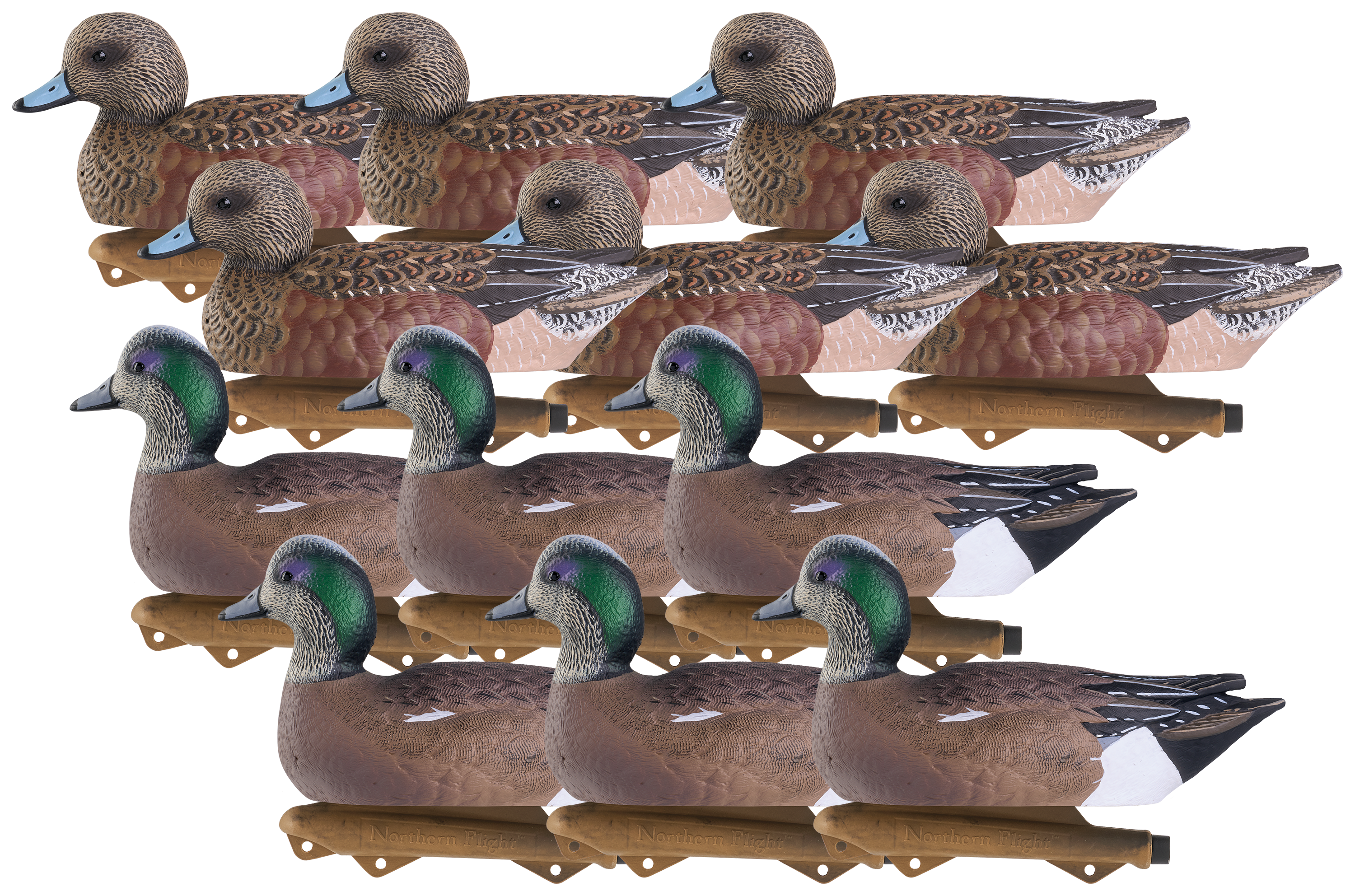 Image of Northern Flight Big Spread Wigeon Duck Decoy 12-Pack