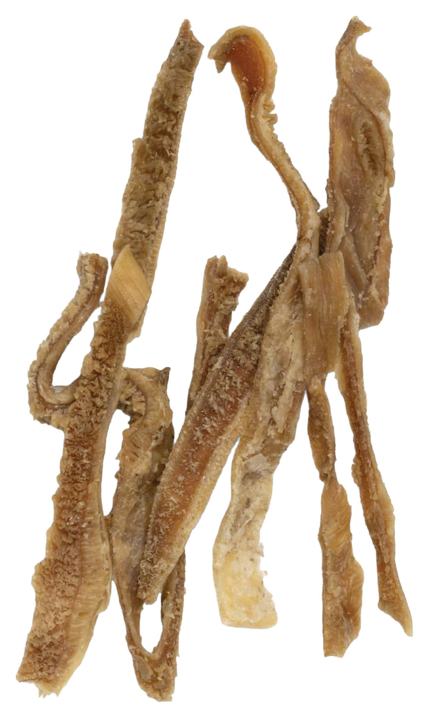 West Paw West Paw Dried Bison Tripe Dog Treat - $13.95 at Bass Pro Shops