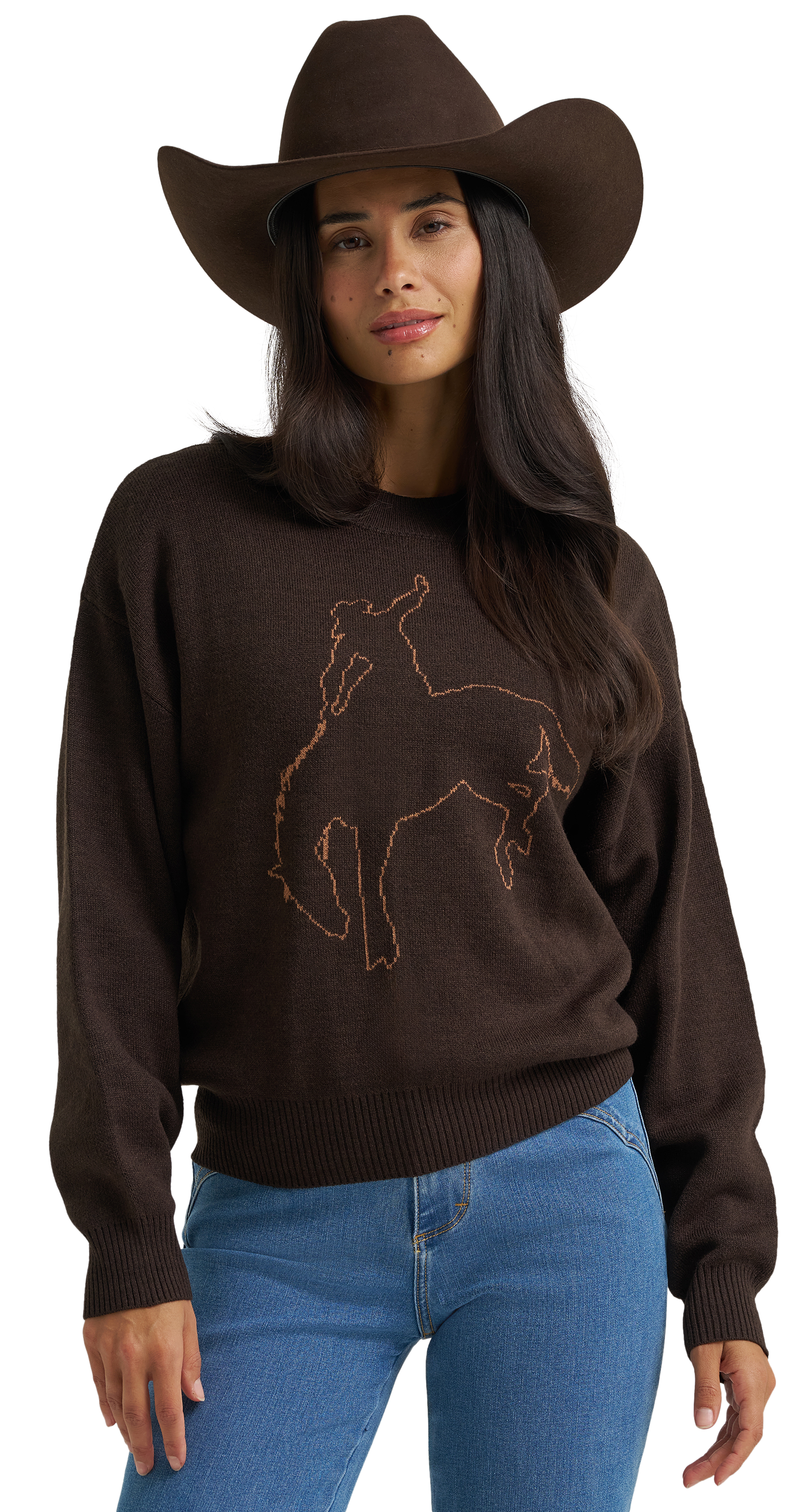 Wrangler Retro Horse Sweater