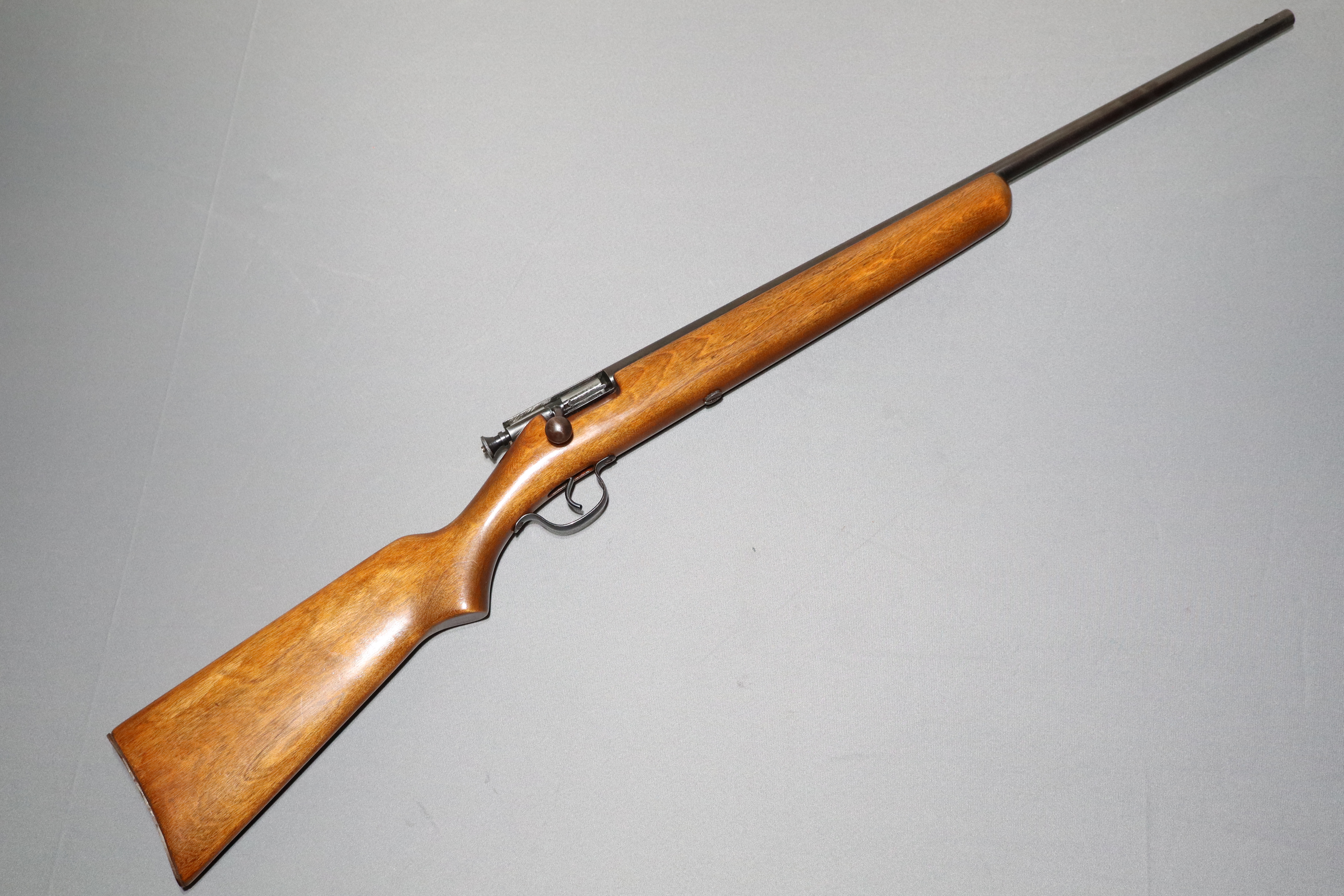 Savage 15-A .22 S, L, LR - Bass Pro Shops