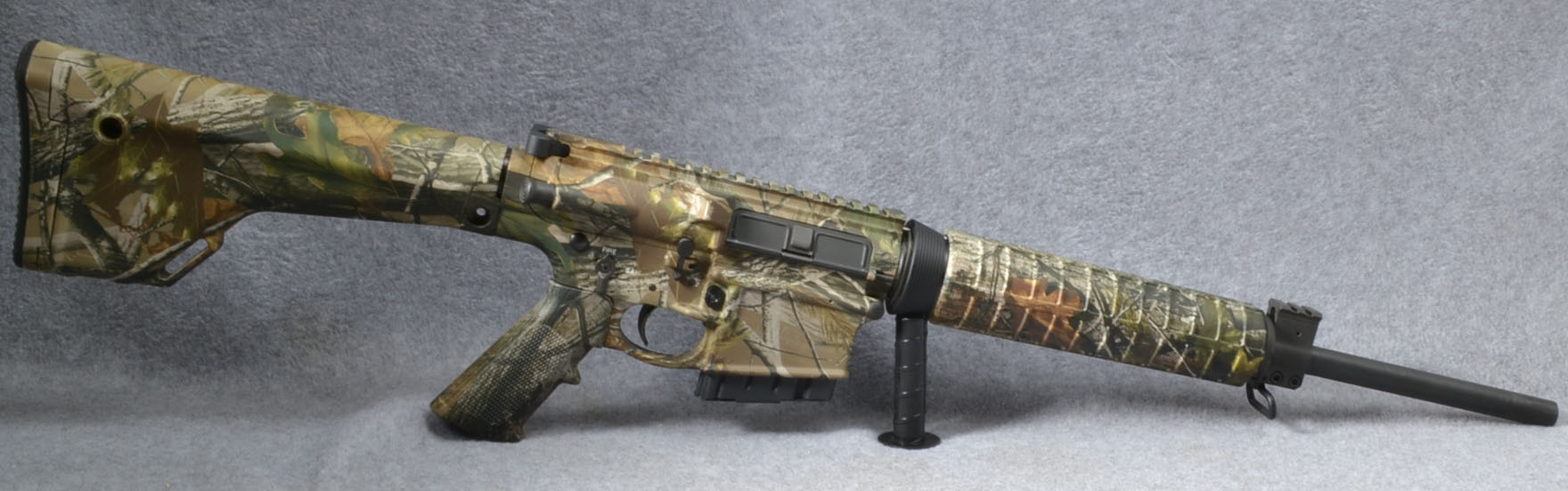 Image of Smith & Wesson M&P-10