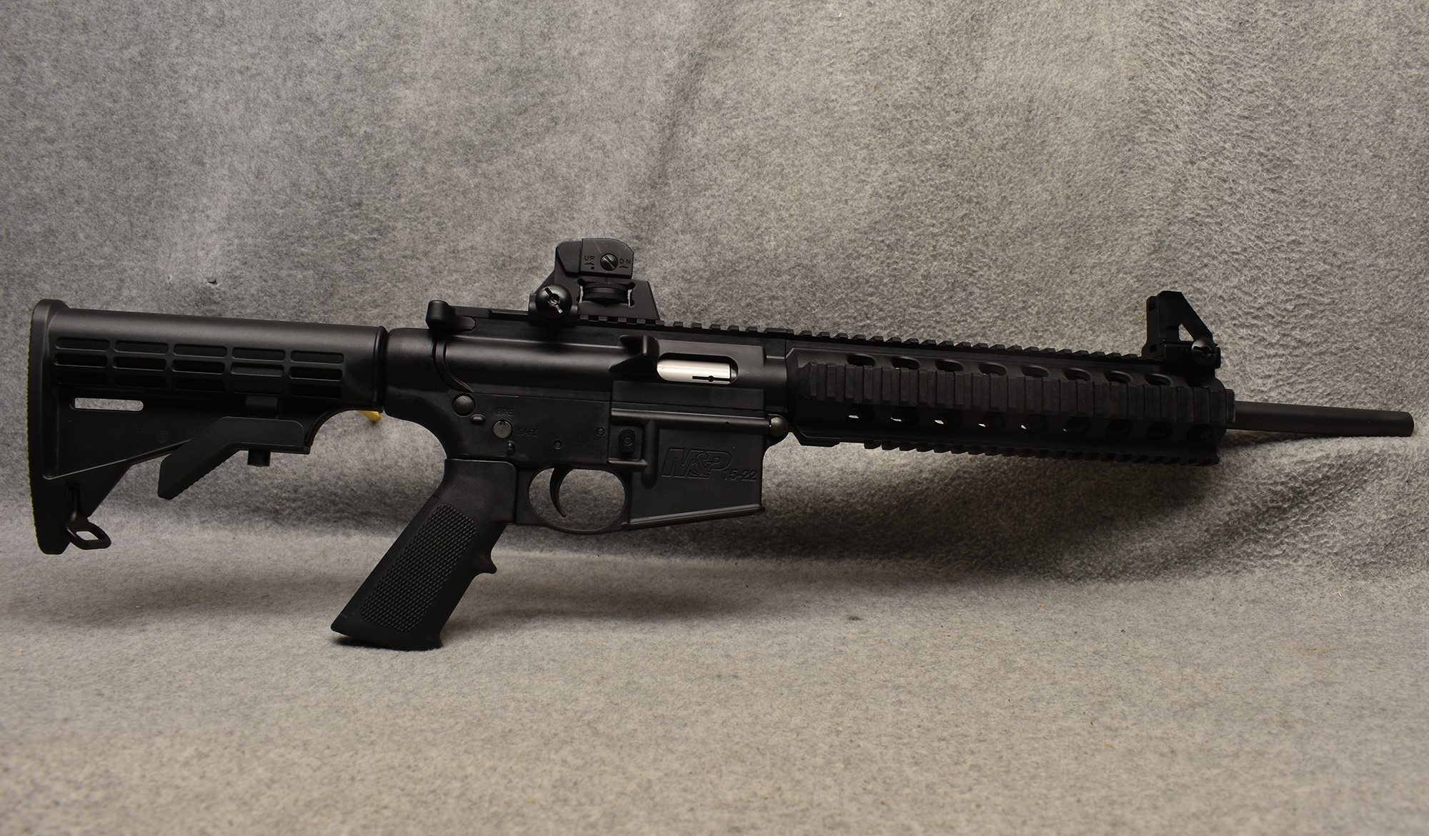 Smith & Wesson ~ M&P15-22 ~ .22 Long Rifle - Bass Pro Shops
