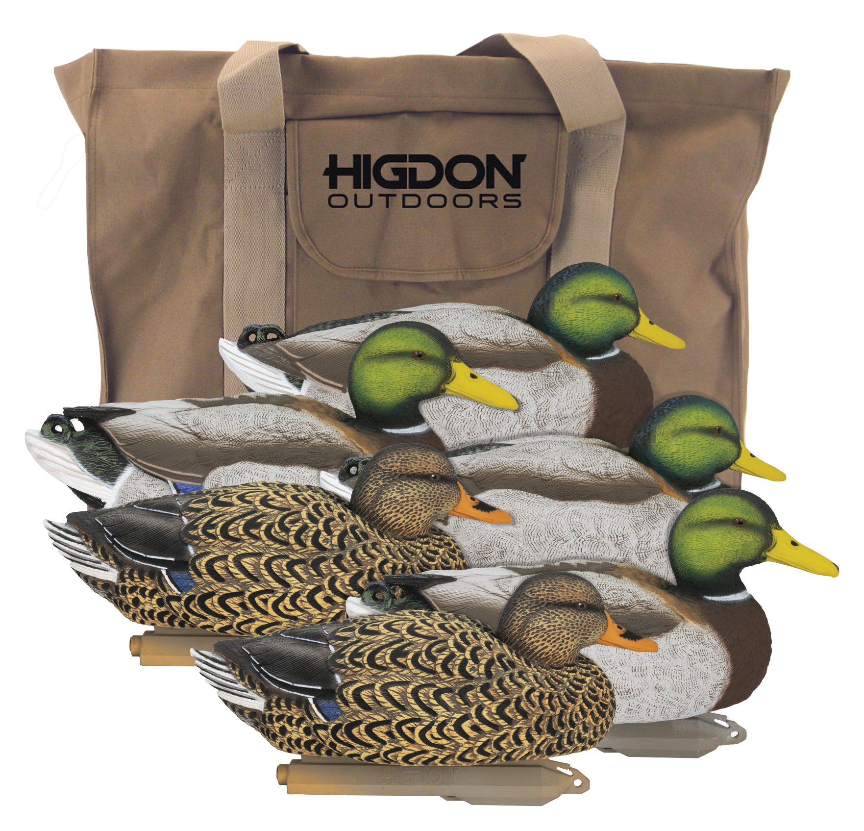 Image of Higdon Outdoors Legacy Magnum Mallard Foam-Filled Duck Decoy 6-Pack and Bag