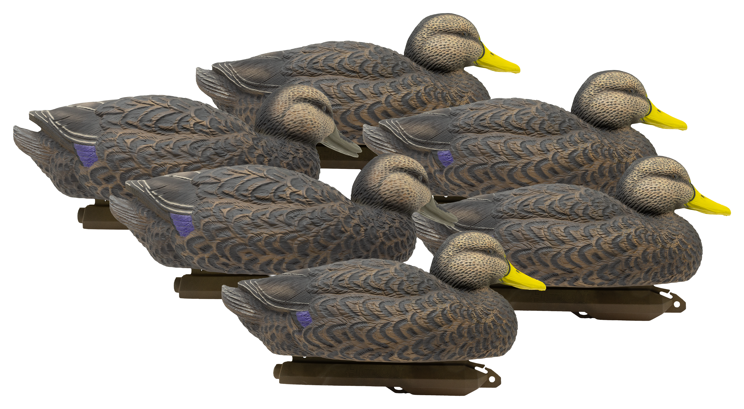 Image of Higdon Outdoors Legacy Magnum Black Duck Foam-Filled Duck Decoy 6-Pack