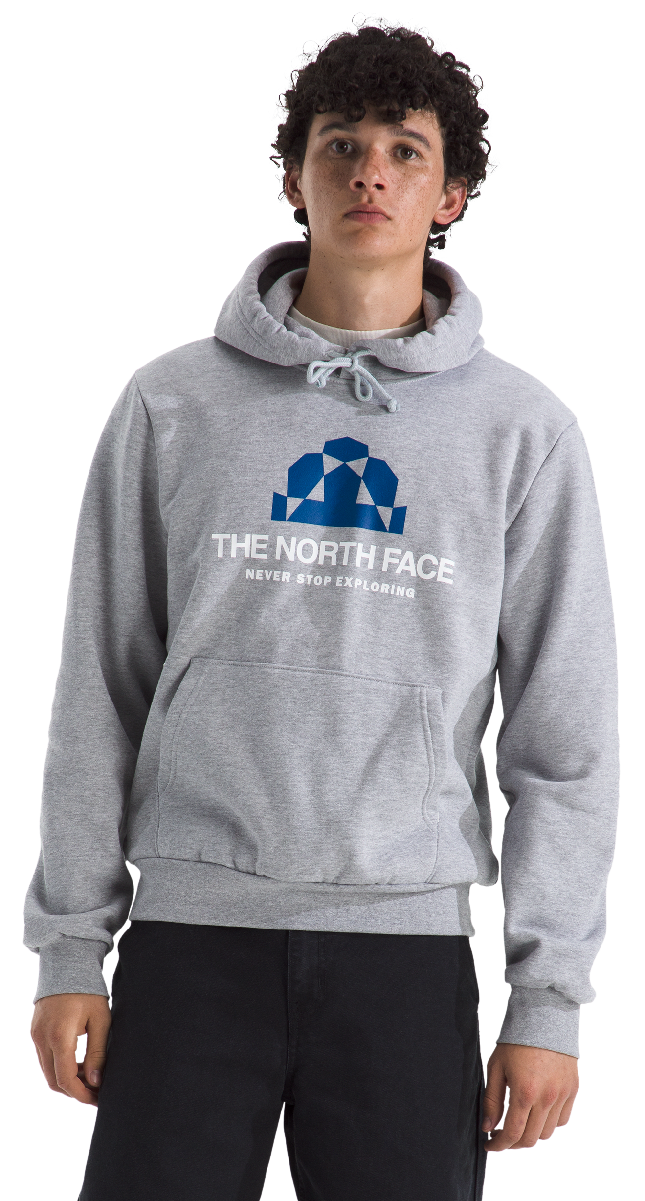 Image of The North Face Evolution BTS Graphic Hoodie - TNF Pale Grey Heather