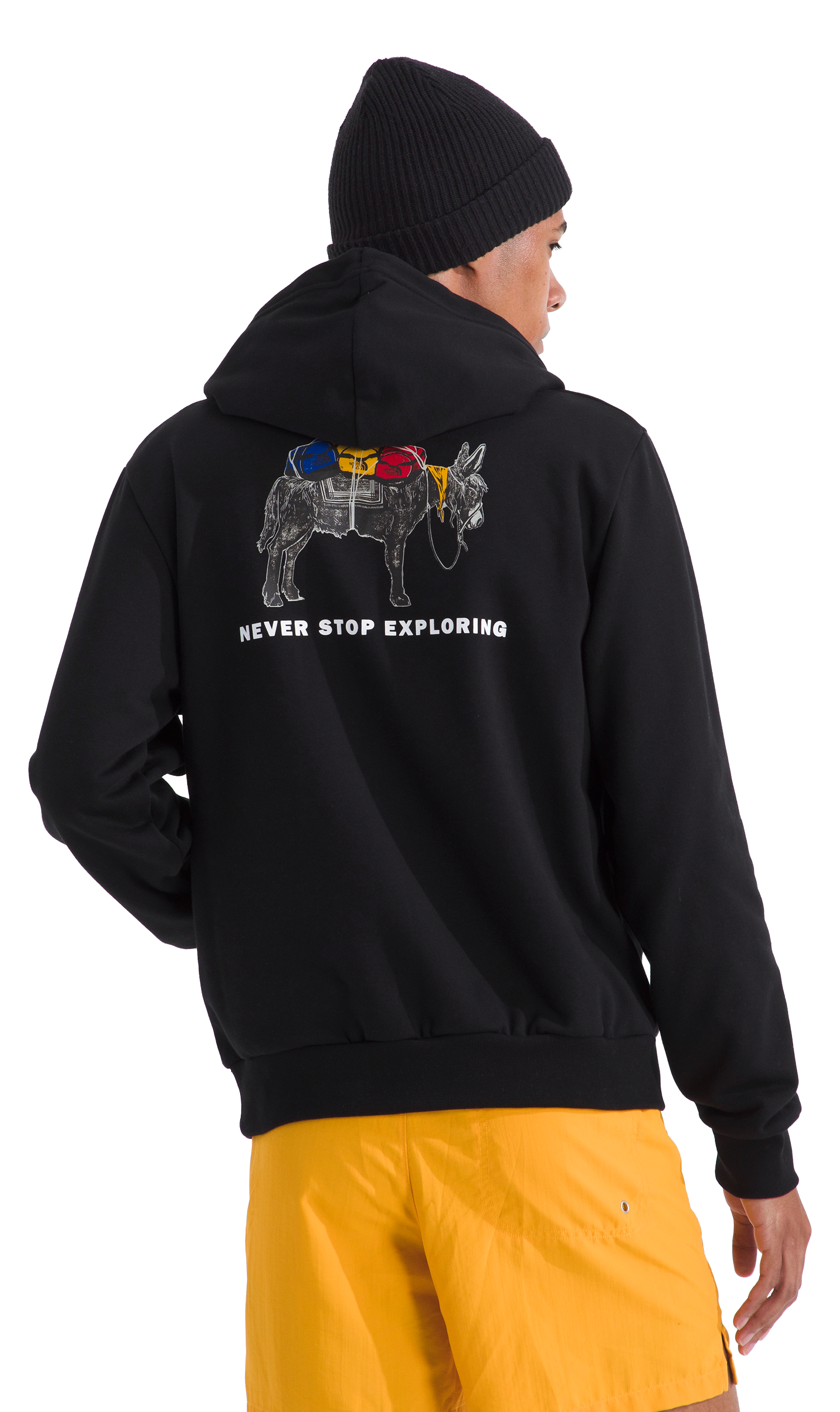 Image of The North Face Evolution Pack Hoodie - TNF Black - XS