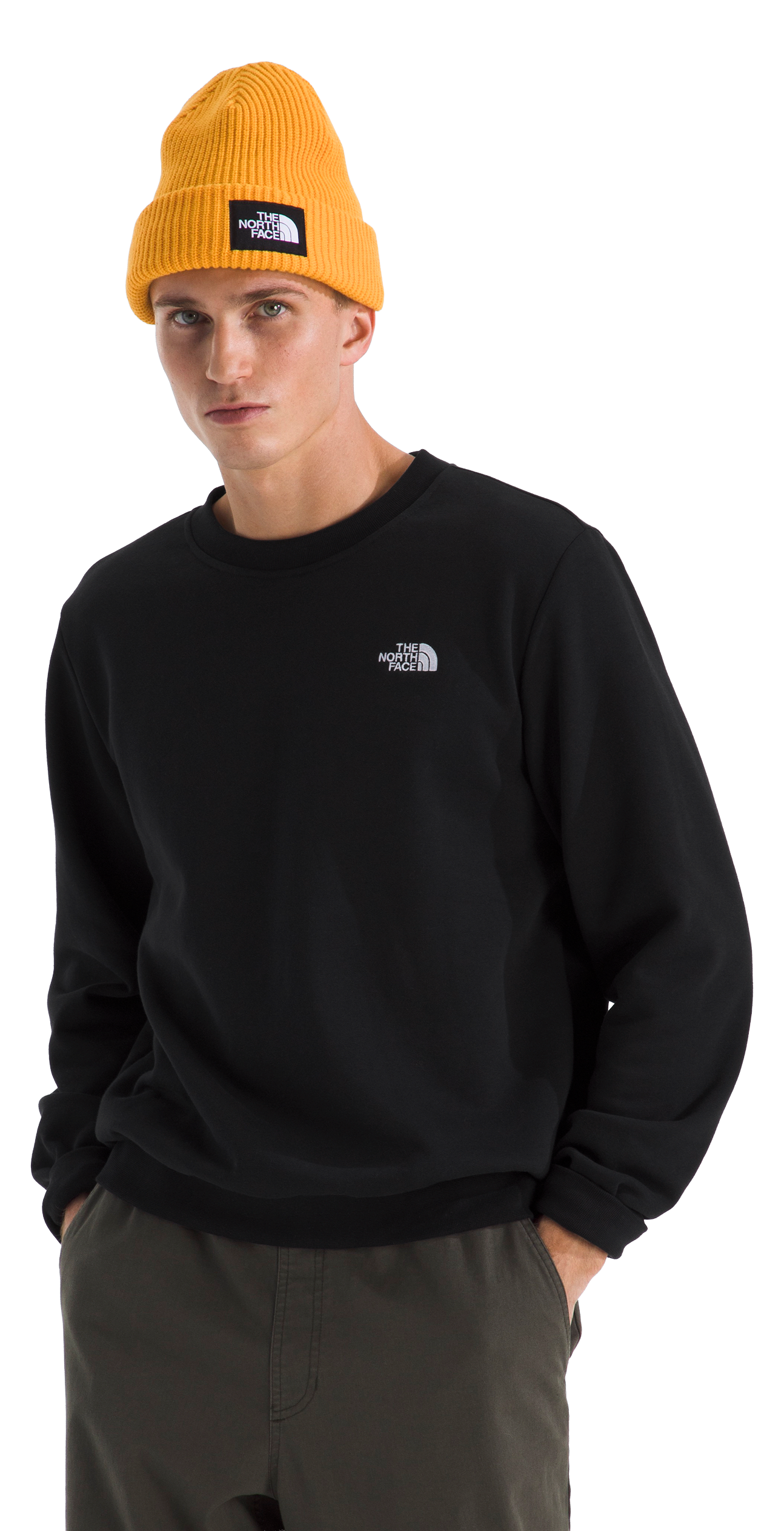 Image of The North Face Evolution Simple Dome Crew Sweatshirt - TNF Black - L