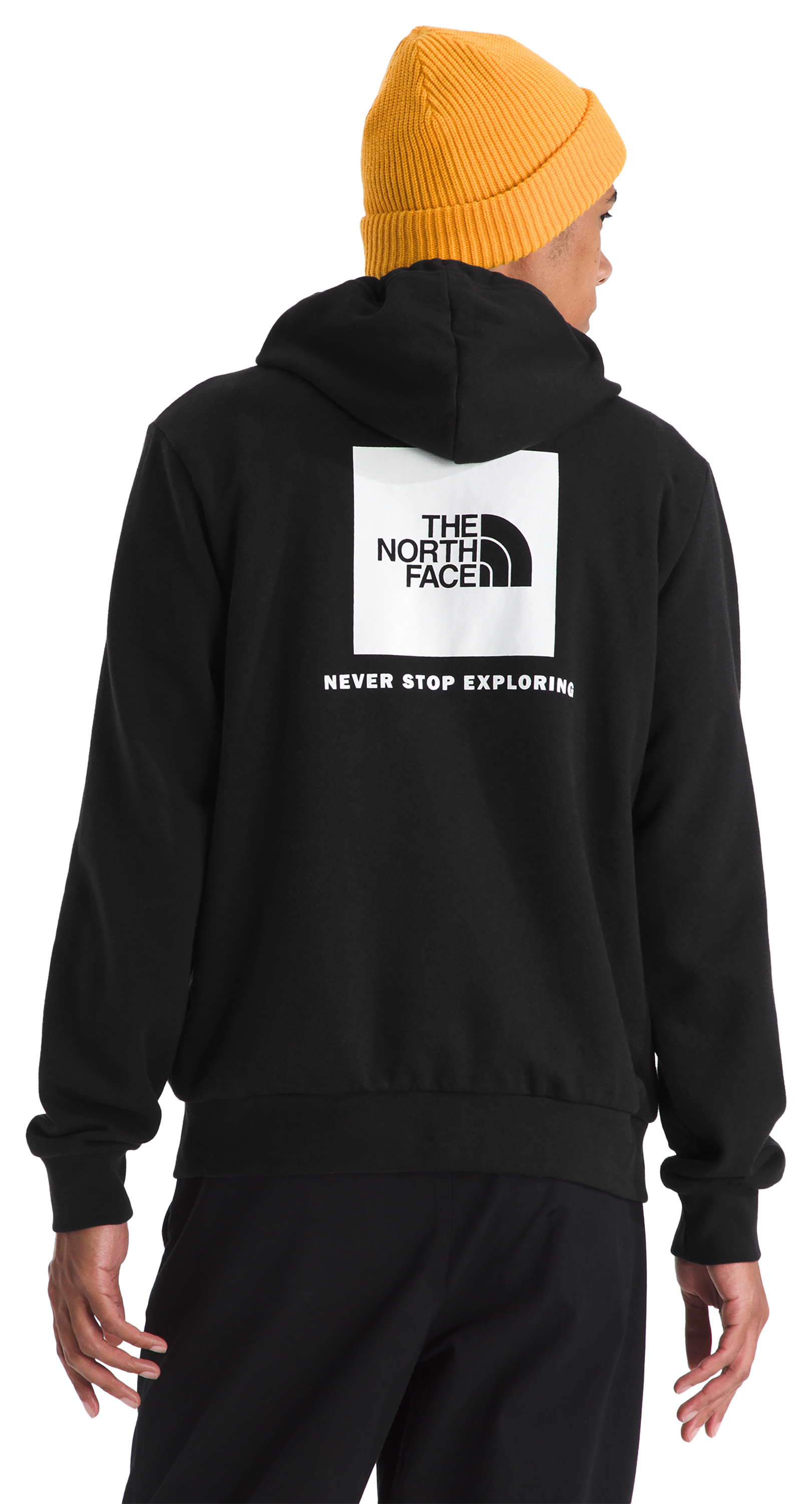 Image of The North Face Evolution Box NSE Hoodie