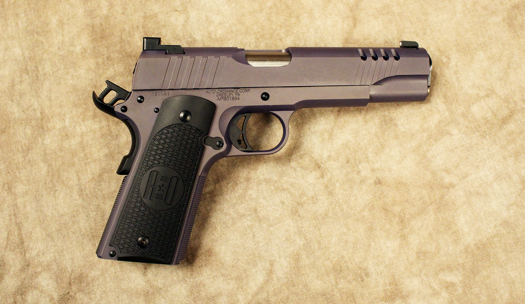 Image of Auto Ordnance~1911 TCA~.45 ACP