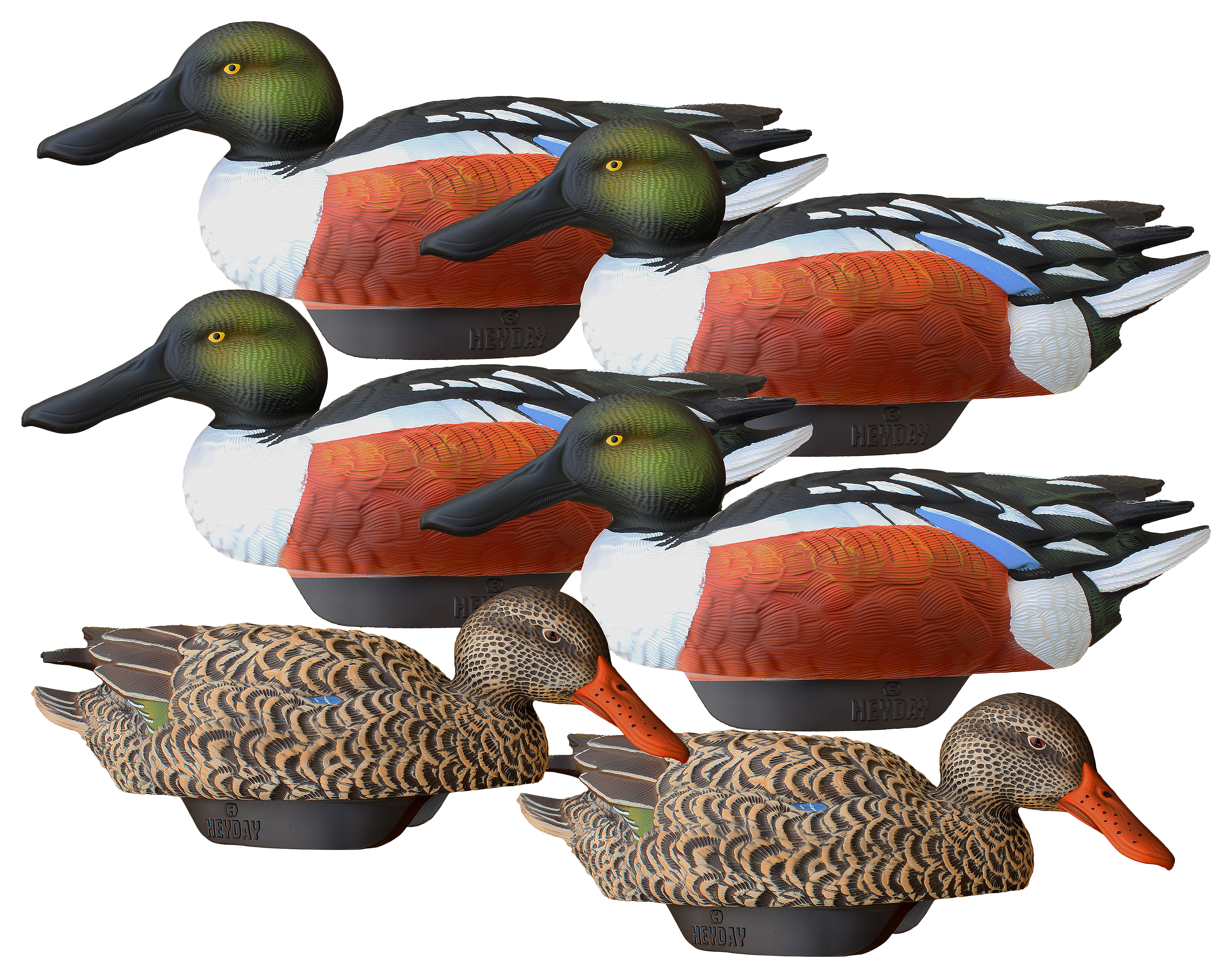 Image of HEYDAY HydroFoam Shoveler Duck Decoy 6-Pack