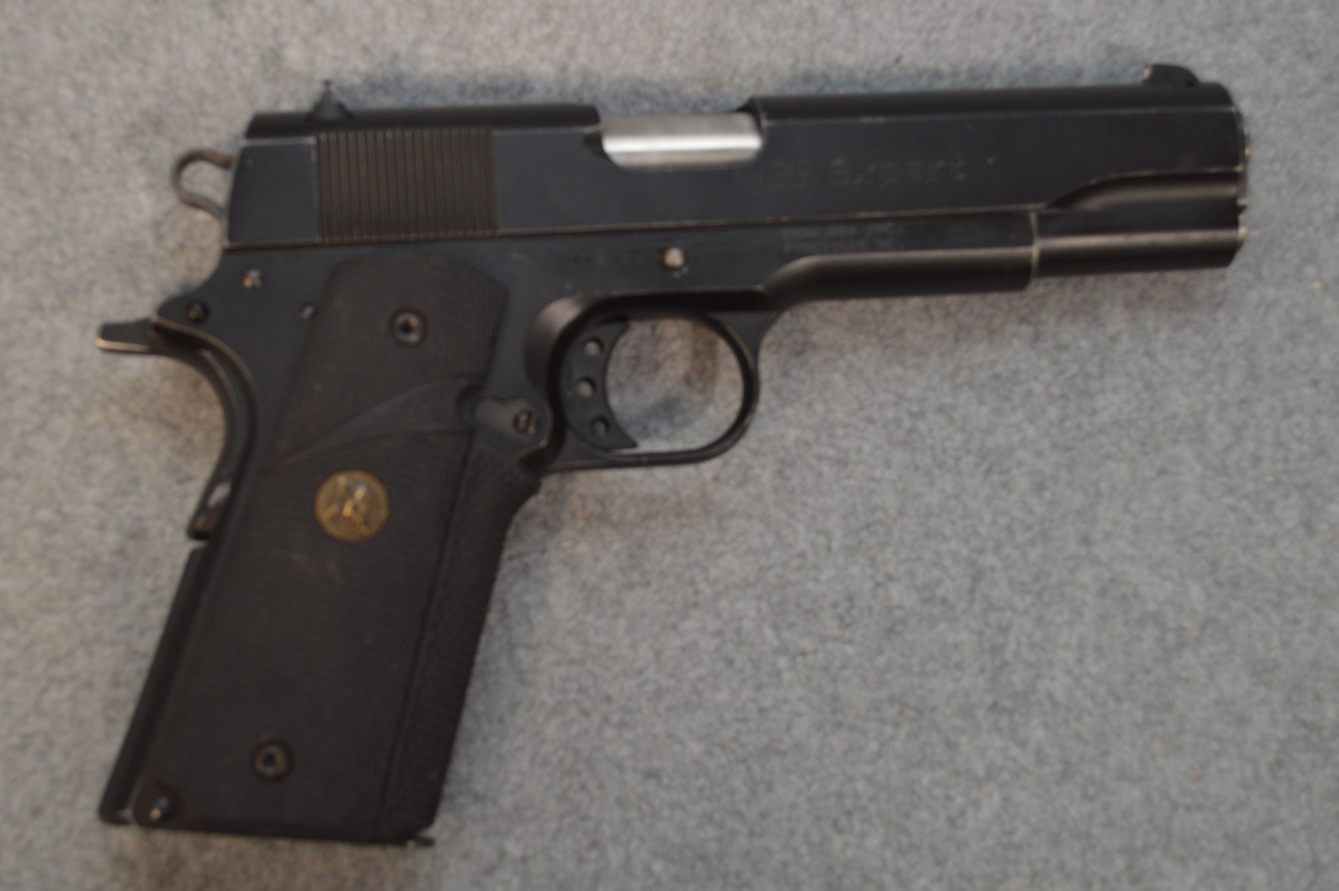 Image of Para USA ~ GI Expert ~ .45 ACP