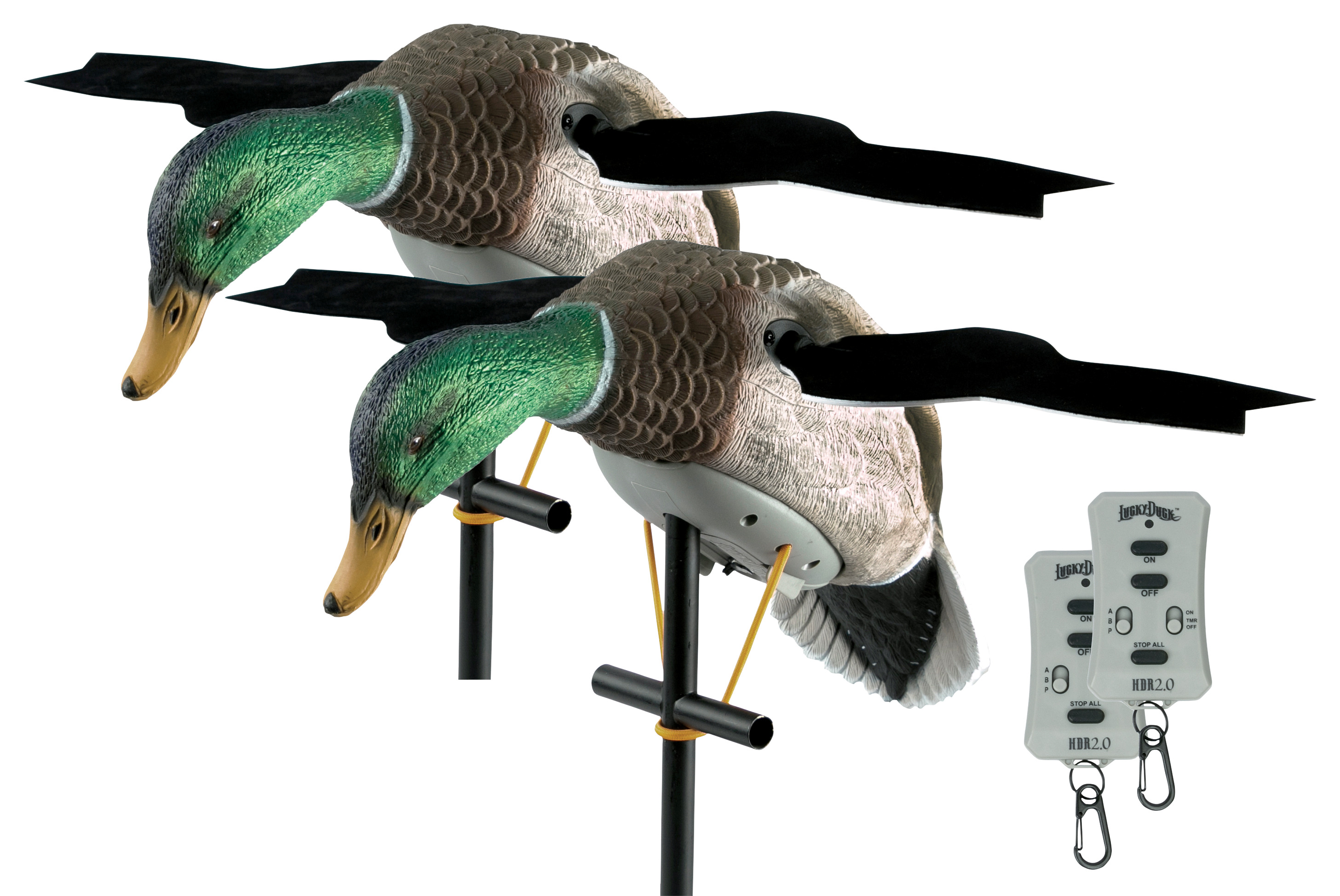 Image of Lucky Duck XHDI Motorized Mallard Duck Decoy with Remote 2-Pack