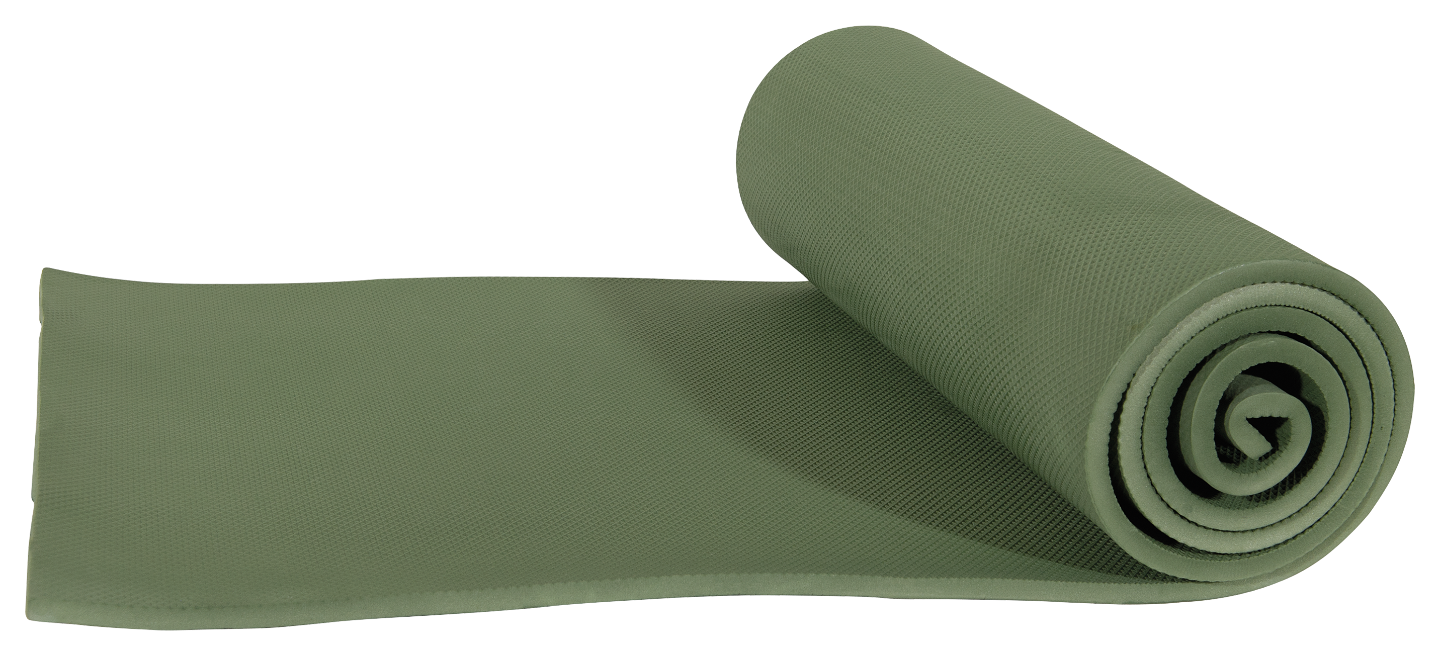 ALPS Mountaineering Roll-Up Foam Sleeping Mat