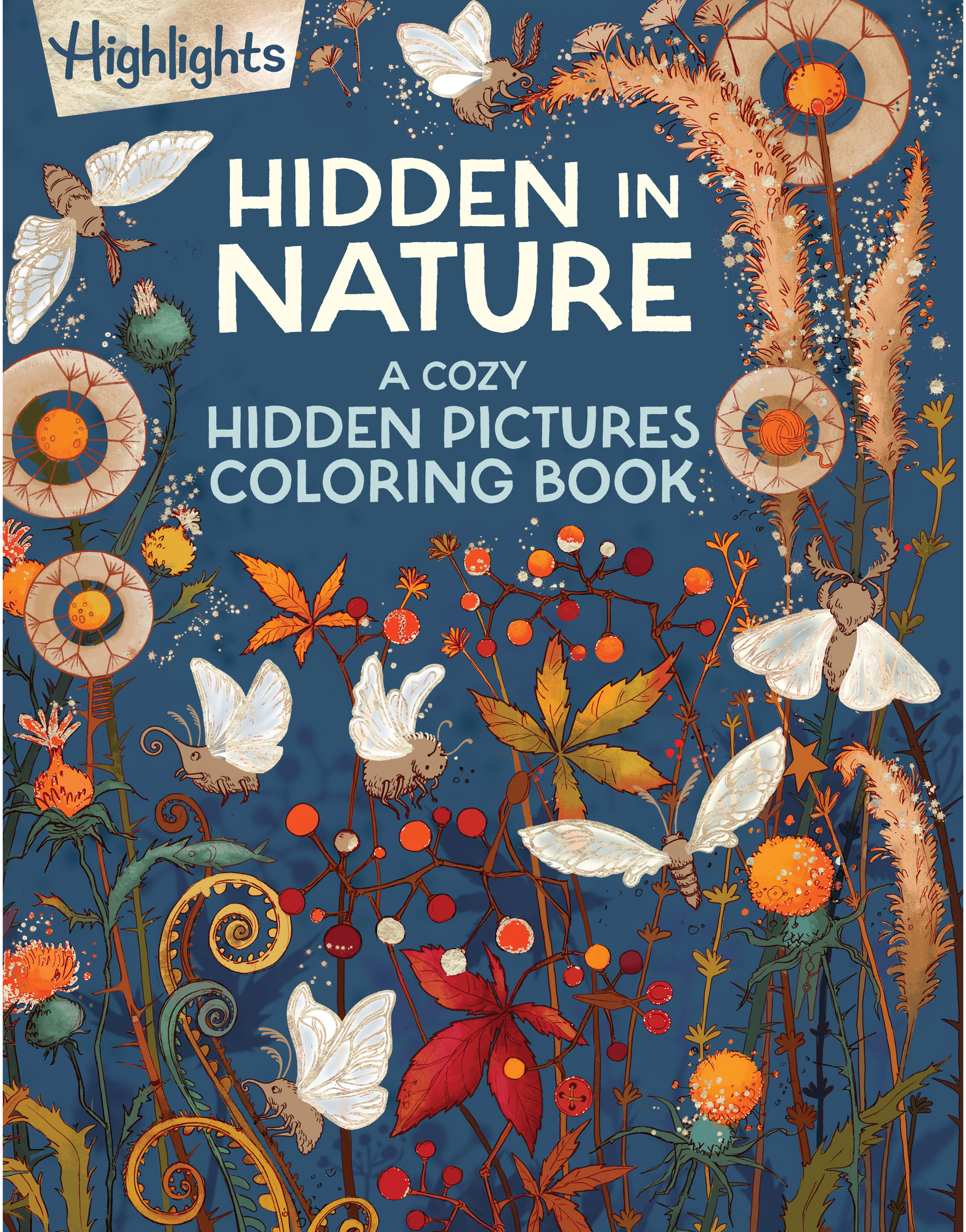 Image of Highlights Hidden In Nature A Cozy Hidden Pictures Coloring Book