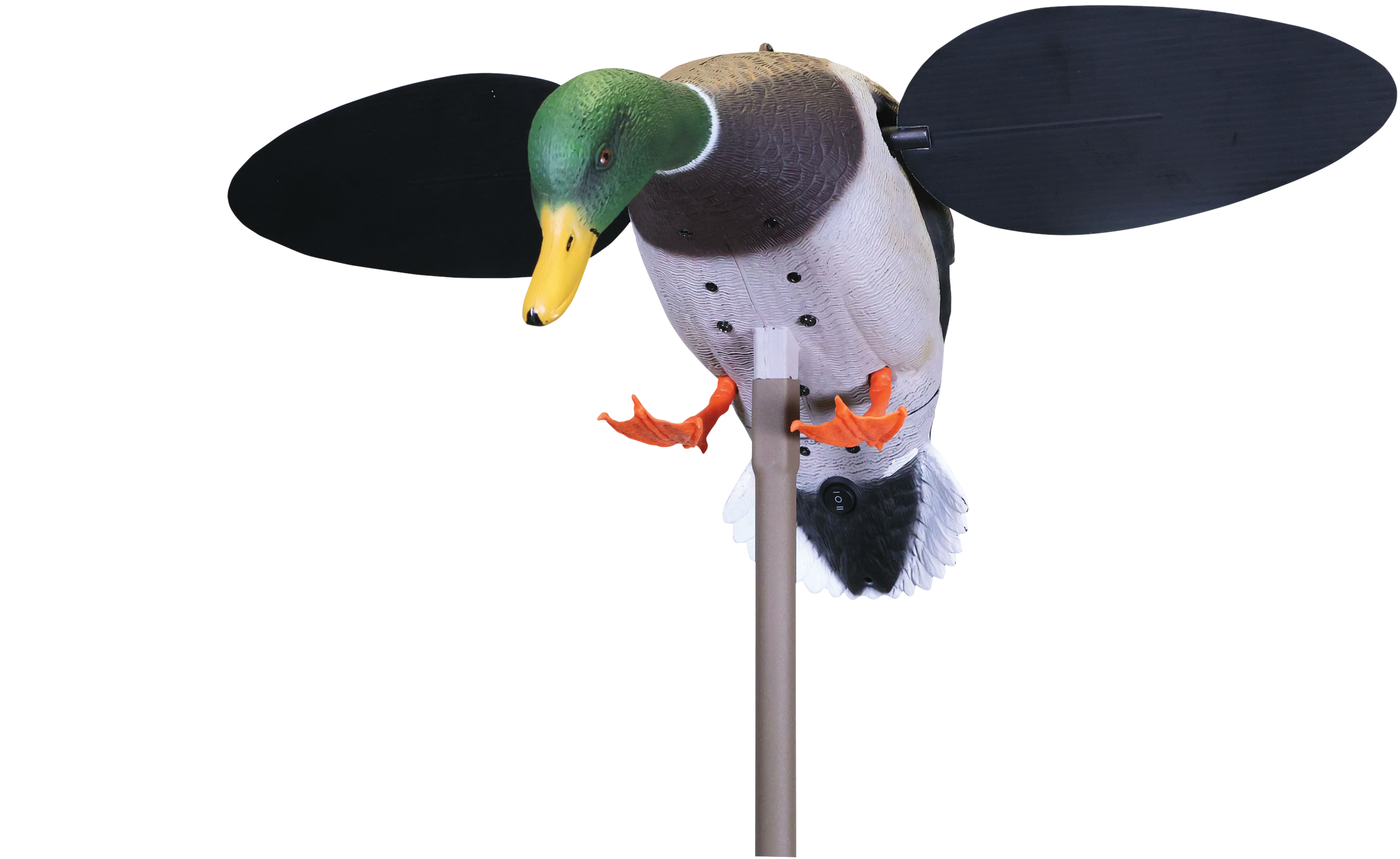 Image of MOJO Outdoors Baby MOJO 2.0 Drake Motorized Duck Decoy