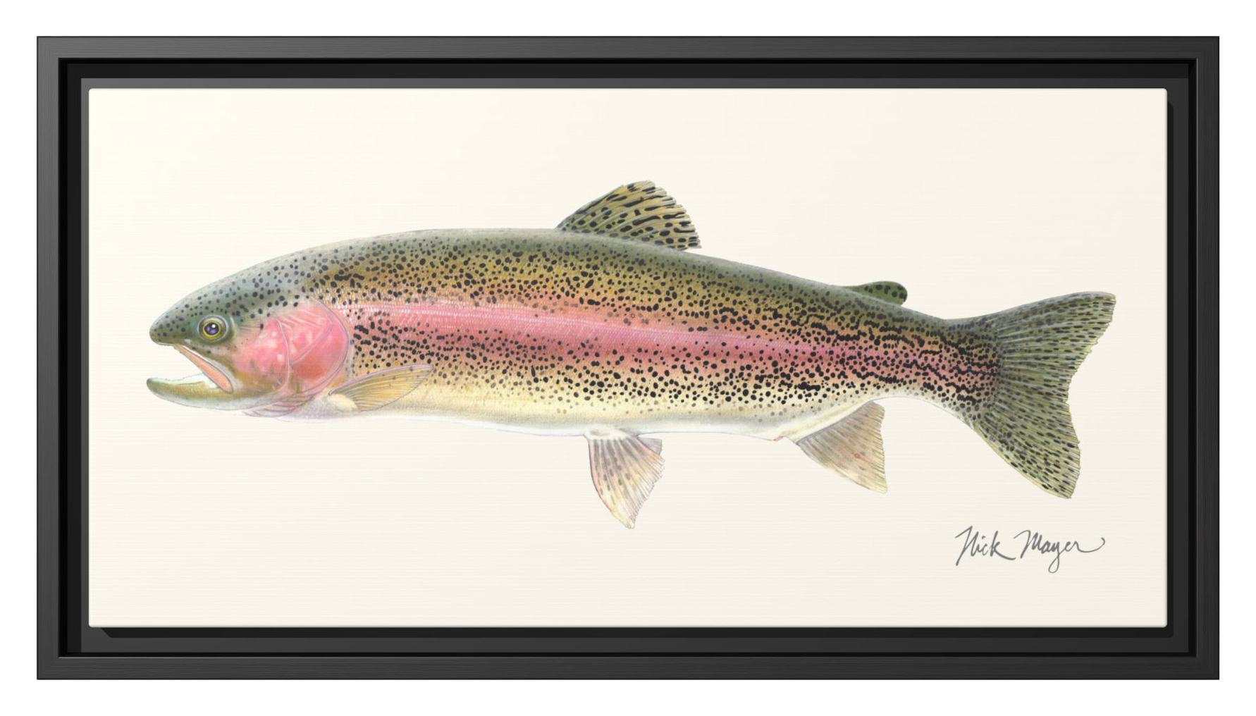 Image of Nick Mayer Largemouth Bass II Framed Canvas