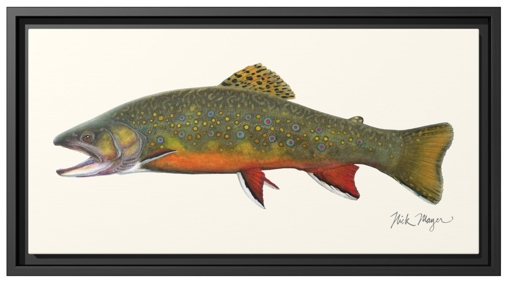 Image of Nick Mayer Brook Trout Framed Canvas