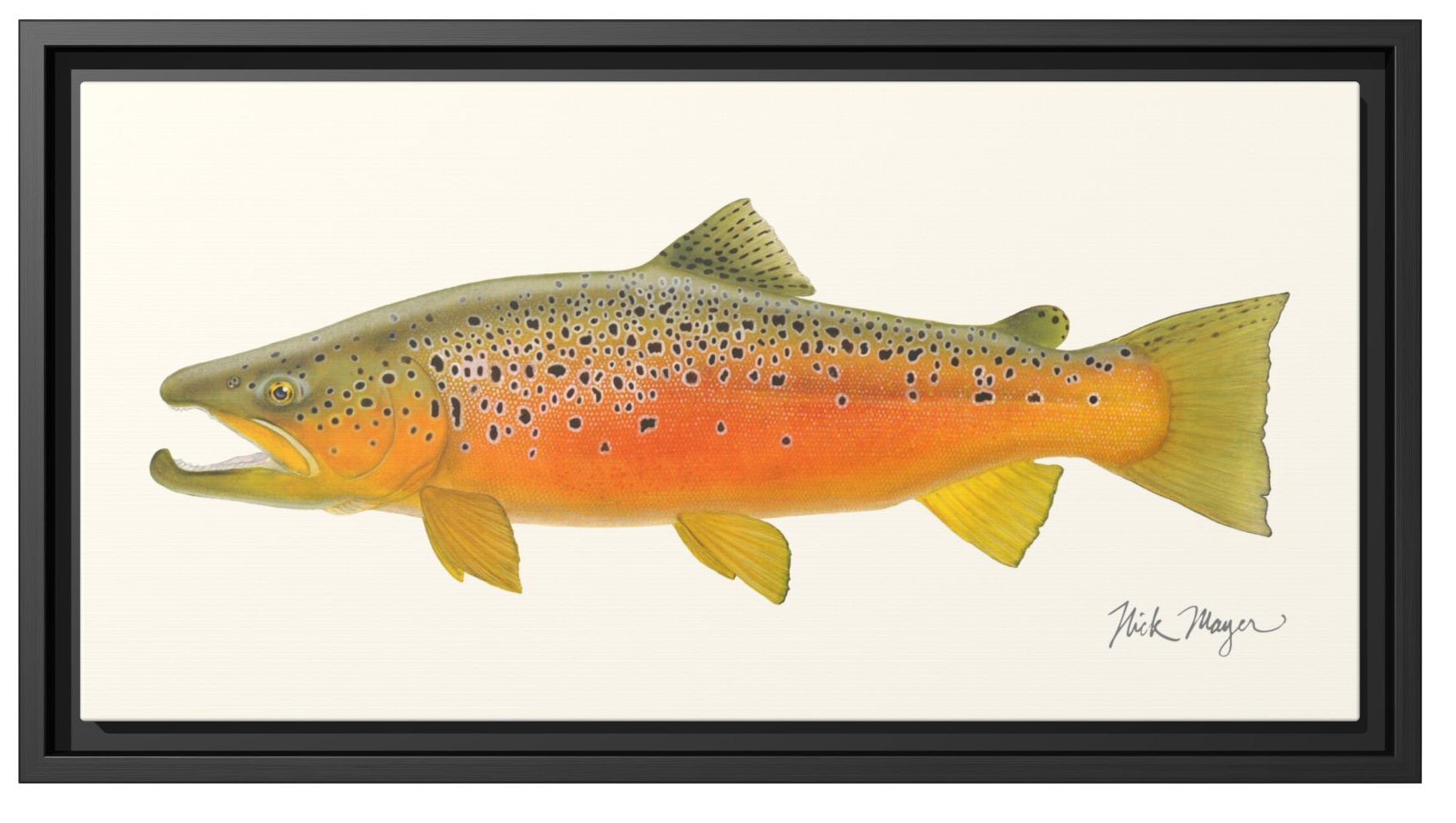 Image of Nick Mayer Brown Trout II Framed Canvas