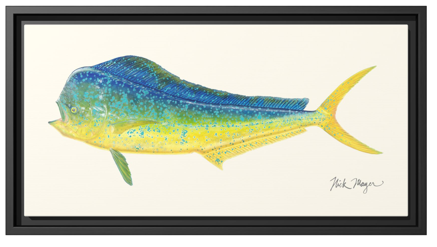 Image of Nick Mayer Bull Mahi Framed Canvas