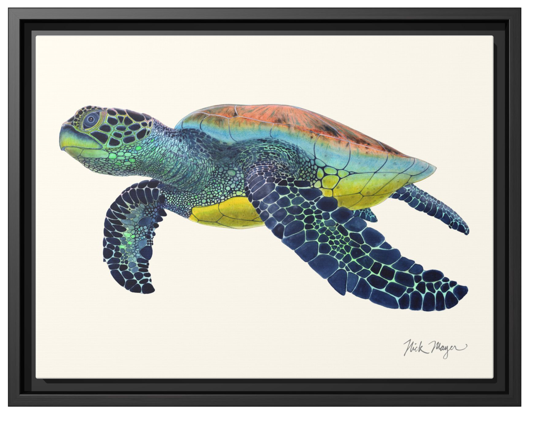 Image of Nick Mayer Sea Turtle II Framed Canvas