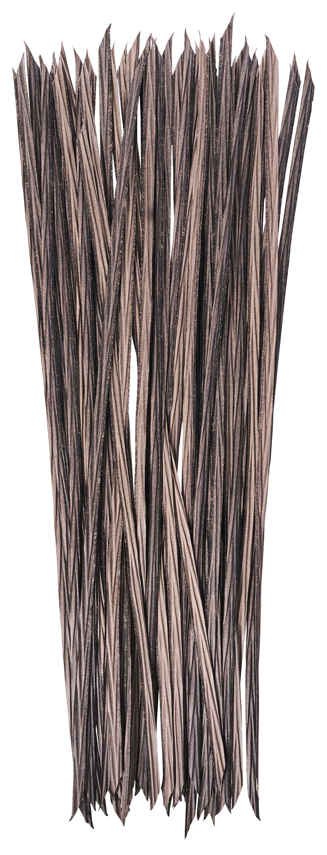 Image of Northern Flight Grass Blade Bundle
