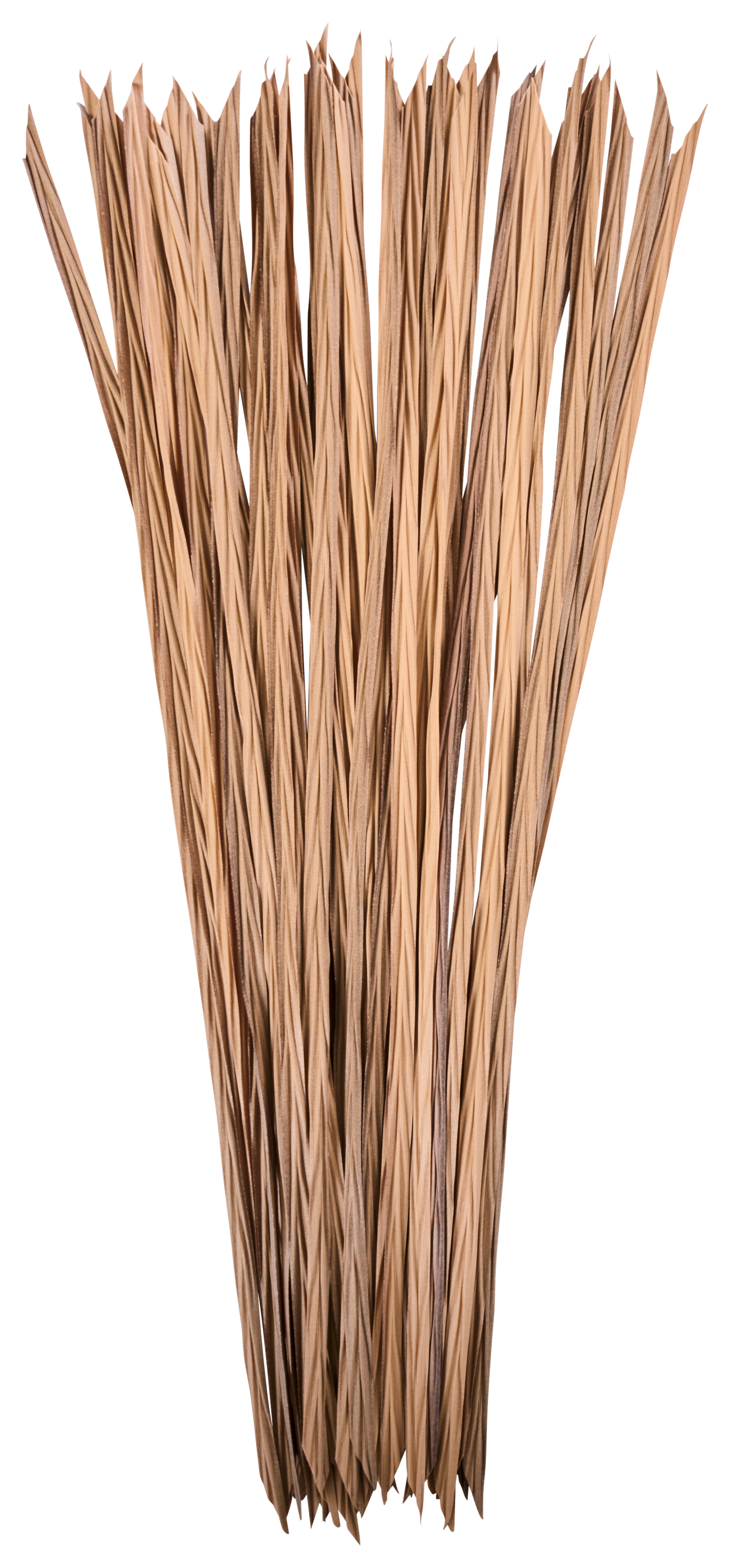 Image of Northern Flight Grass Blade Bundle - Cattail Straw - 10 lbs. Bundle