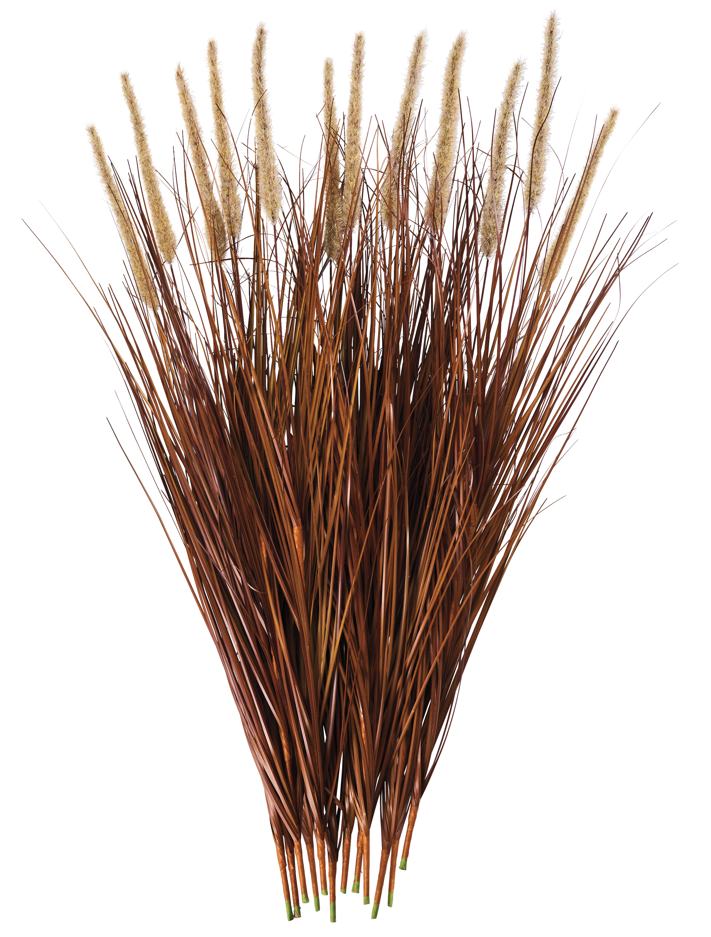 Image of Northern Flight Synthetic Cattail Bundles