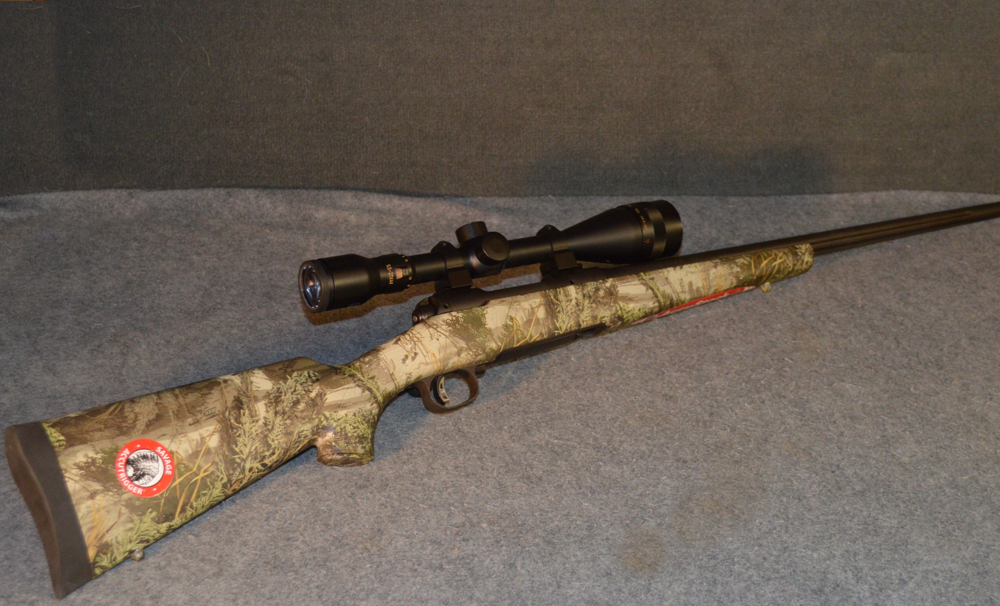 Image of Savage Arms ~ Model 10 ~ .223 Remington ~ Left Hand