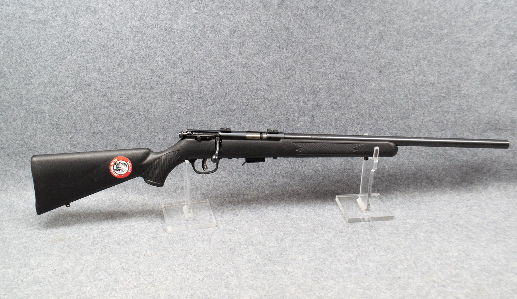 Savage~93R17~.17 HMR - Savage Arms