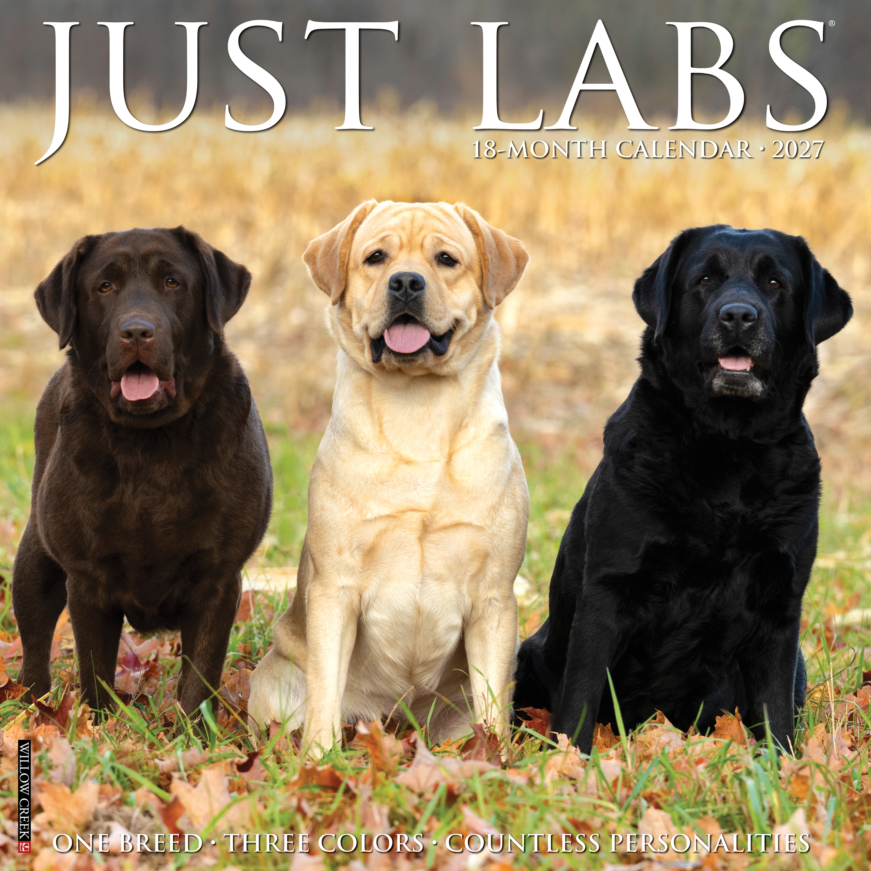 Willow Creek Press Willow Creek Press 2027 Just Labs 18-Month Wall Calendar - $17.99 at Bass Pro Shops