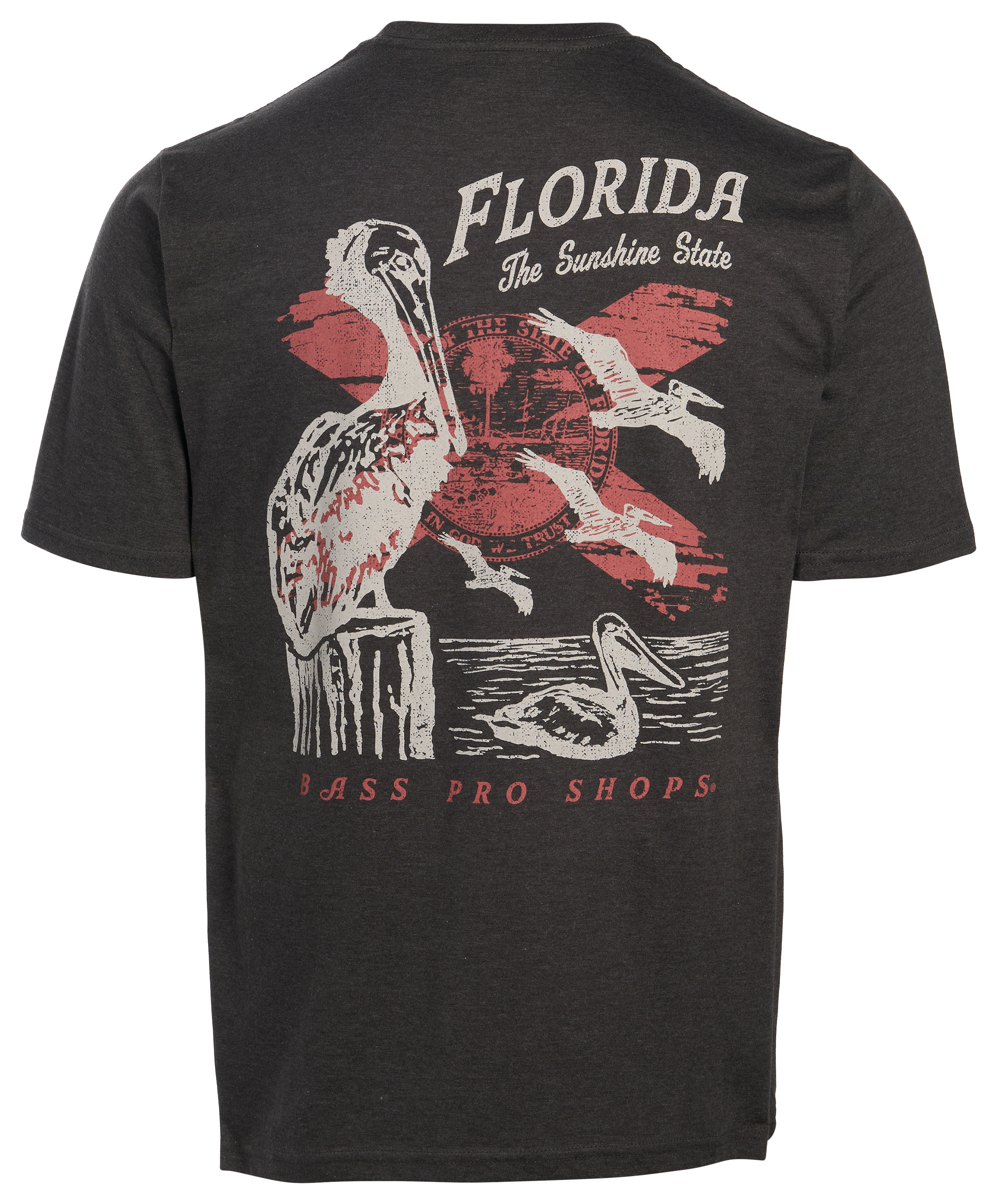 Image of Bass Pro Shops Florida Penguins Short-Sleeve T-Shirt - Charcoal Heather