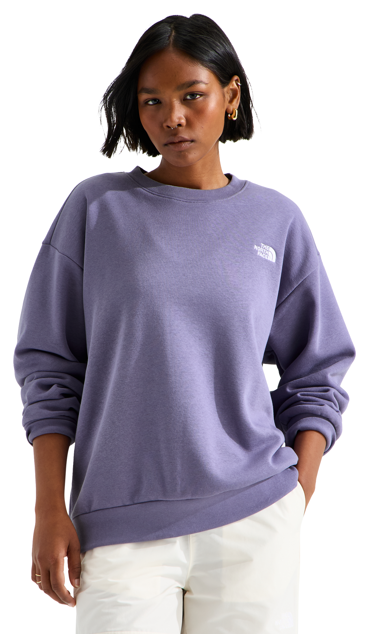 Image of The North Face Evolution Simple Dome Oversized Crew-Neck Sweatshirt - Grounded Plum
