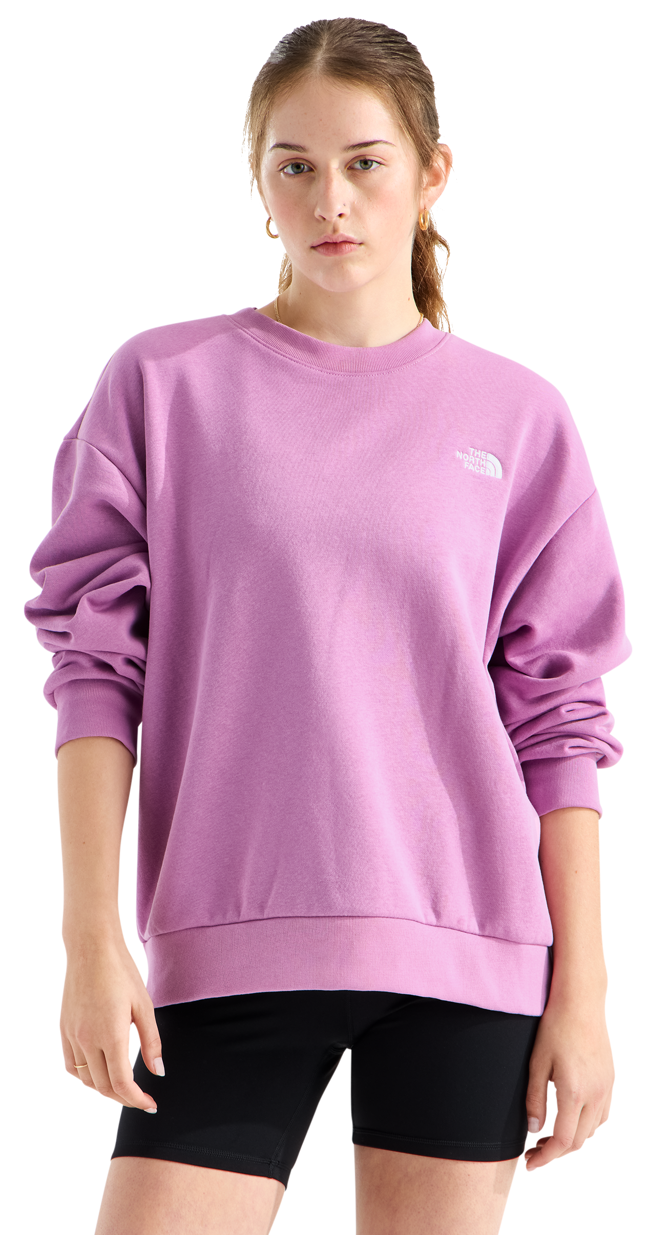 Image of The North Face Evolution Simple Dome Oversized Crew-Neck Sweatshirt